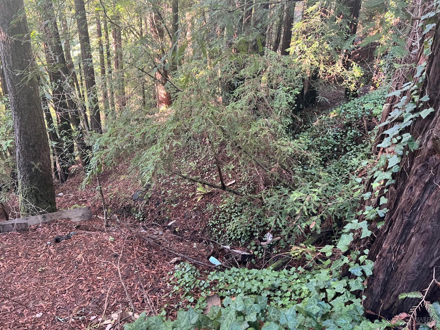 Detail Gallery Image 8 of 12 For 21866 Monte Vista Ter, Monte Rio,  CA 95462 - – Beds | – Baths