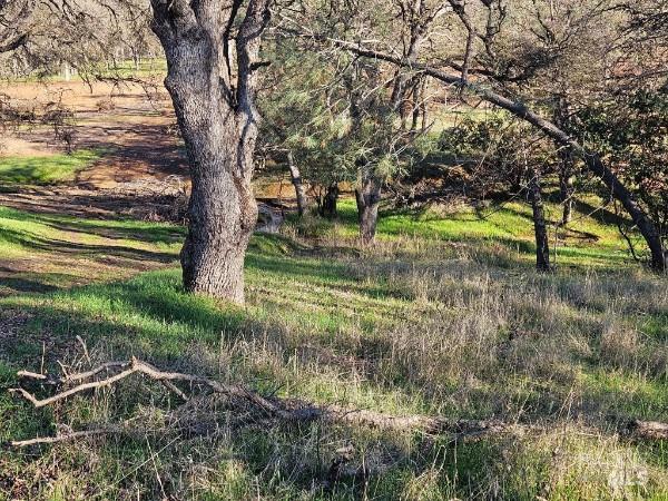 Front Image Thumbnail for BA326001922