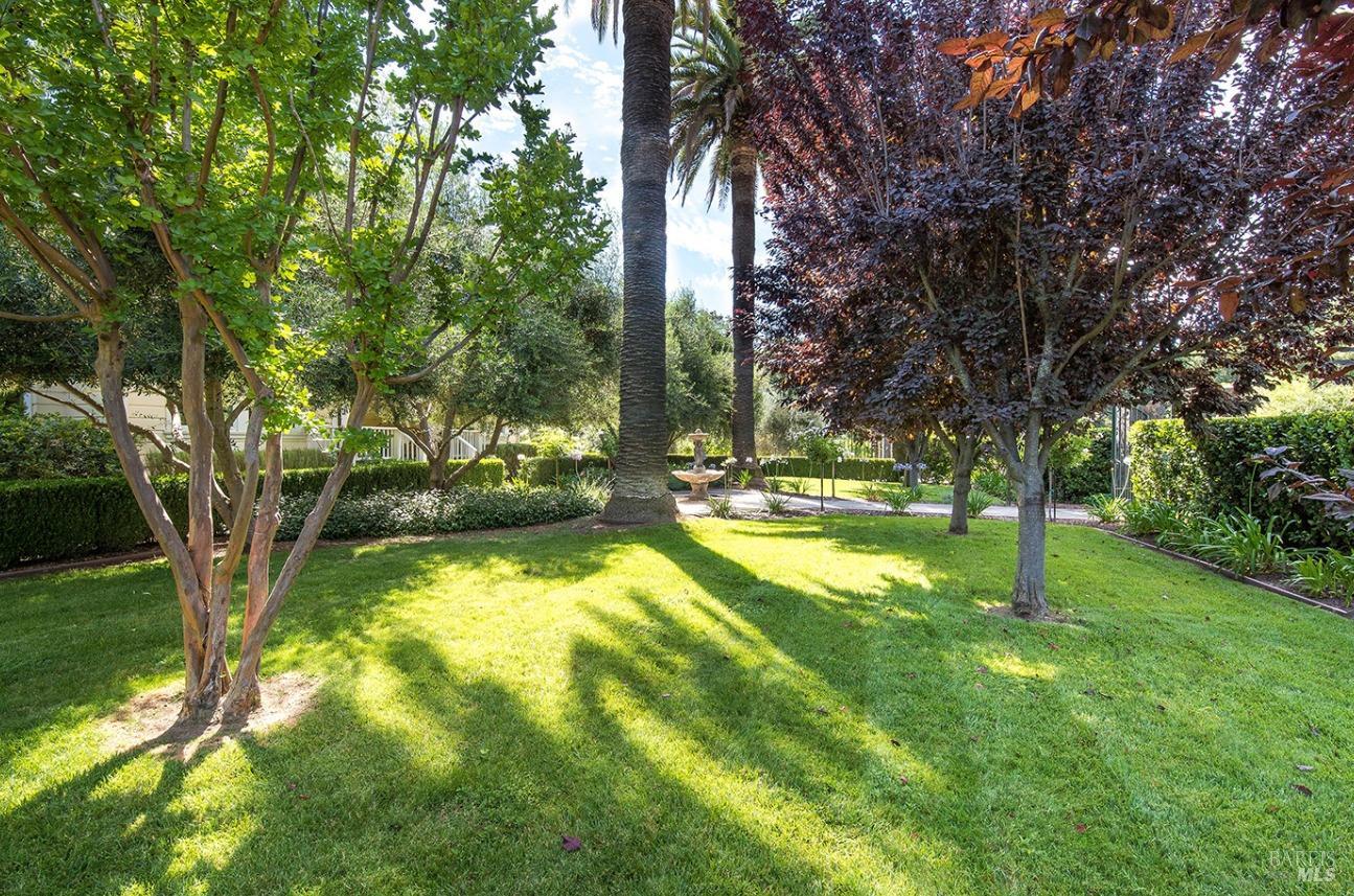 Detail Gallery Image 18 of 39 For 5566 Highway 128, Geyserville,  CA 95441 - – Beds | – Baths