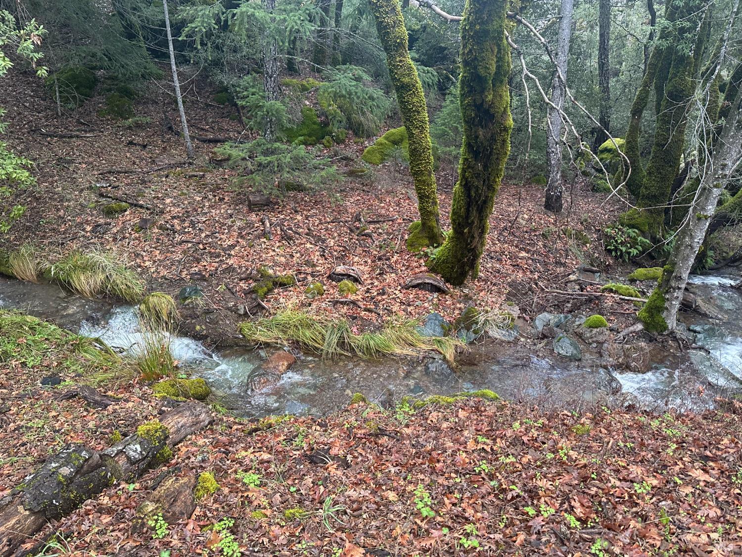 Detail Gallery Image 52 of 52 For Address Is Not Disclosed, Laytonville,  CA 95454 - 1 Beds | 1/1 Baths