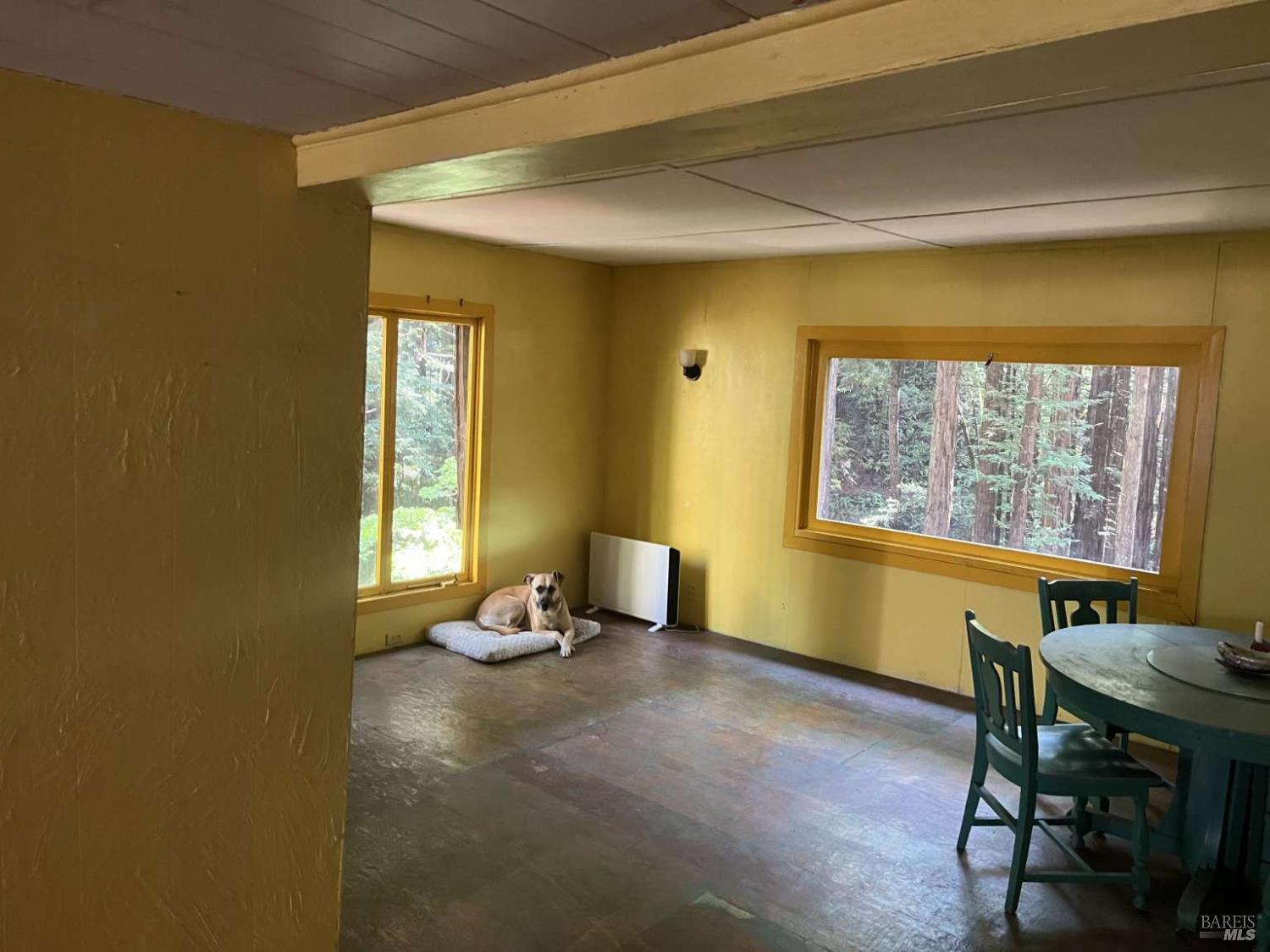 Detail Gallery Image 11 of 36 For 16125 Bittner Rd, Occidental,  CA 95465 - 4 Beds | 2 Baths