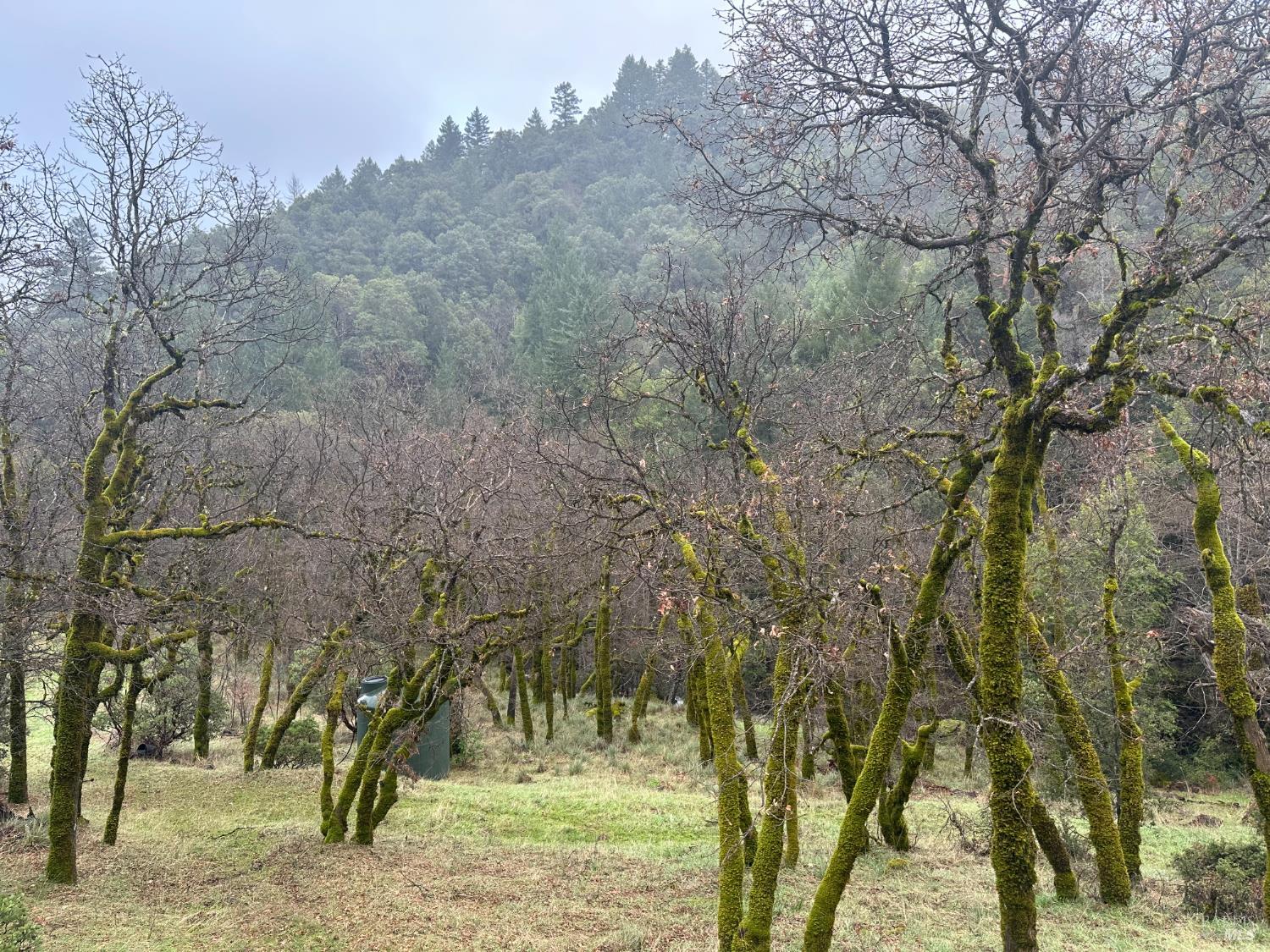 Detail Gallery Image 26 of 52 For Address Is Not Disclosed, Laytonville,  CA 95454 - 1 Beds | 1/1 Baths