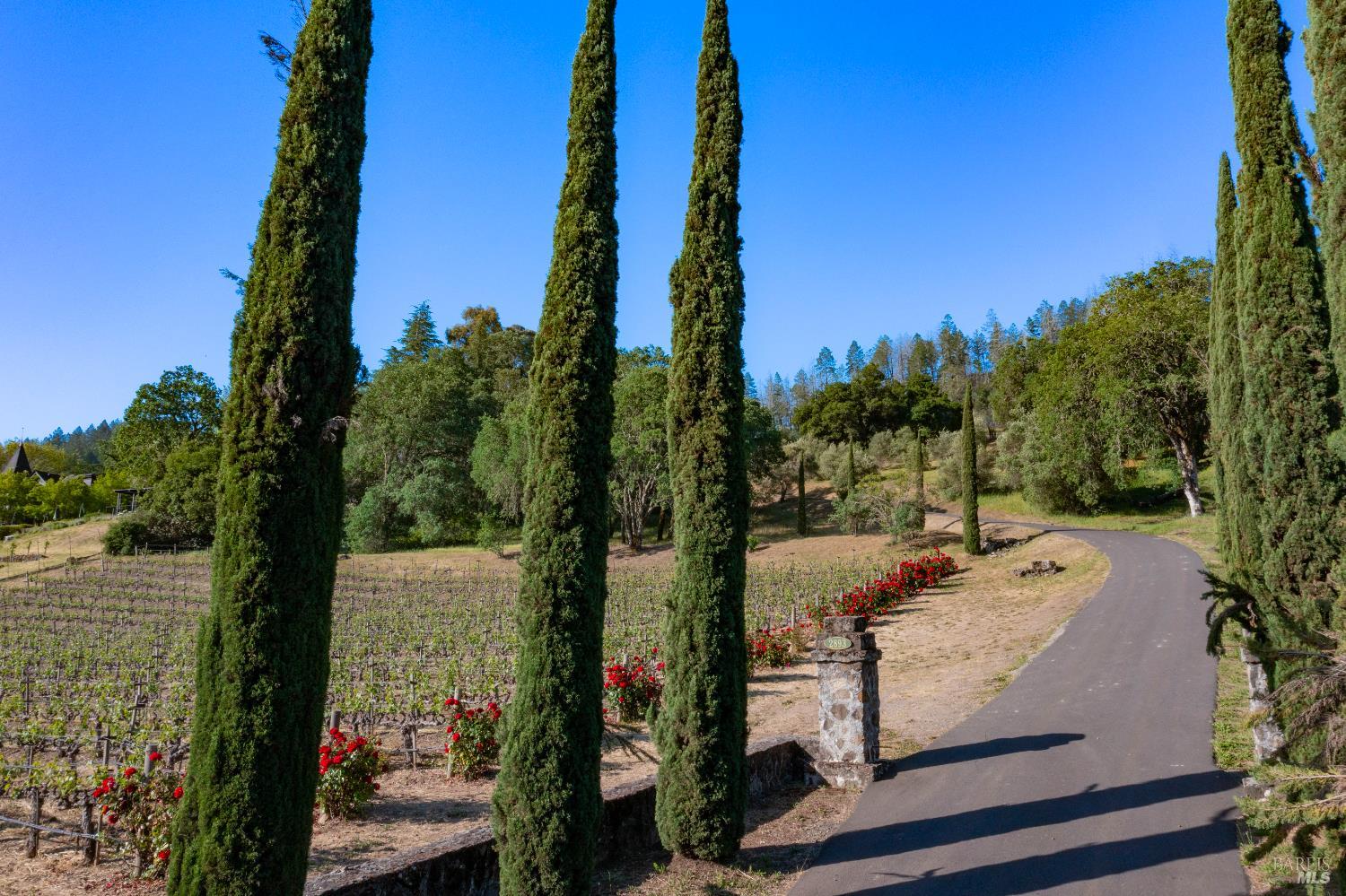 Detail Gallery Image 9 of 17 For 2893 Saint Helena Hwy, Saint Helena,  CA 94574 - 3 Beds | 2/1 Baths