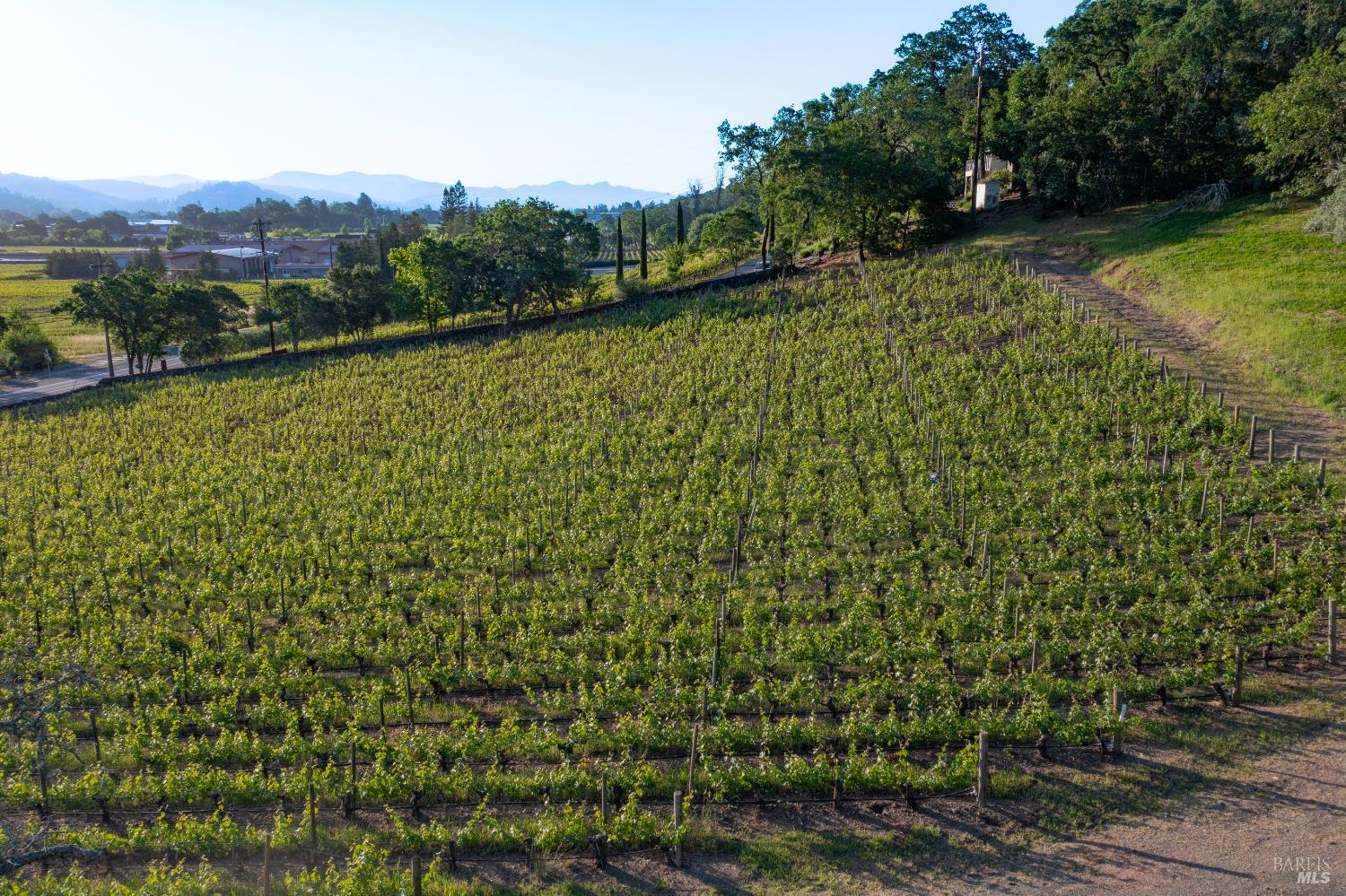 Detail Gallery Image 6 of 17 For 2893 Saint Helena Hwy, Saint Helena,  CA 94574 - 3 Beds | 2/1 Baths