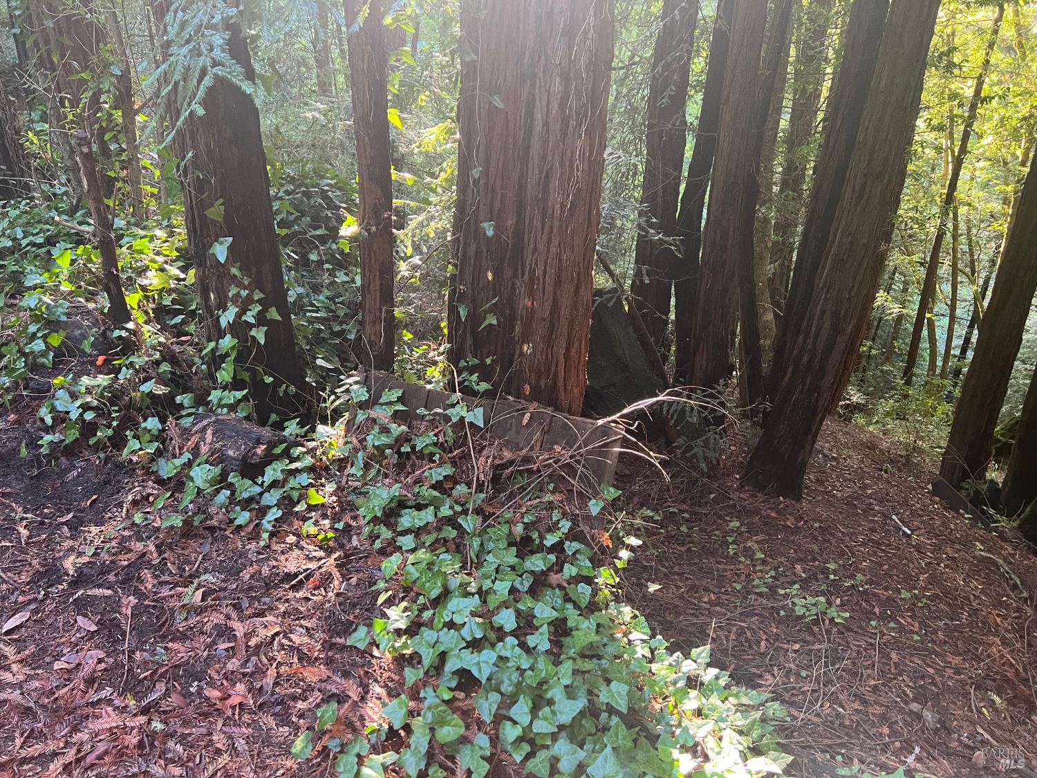 Detail Gallery Image 6 of 12 For 21866 Monte Vista Ter, Monte Rio,  CA 95462 - – Beds | – Baths