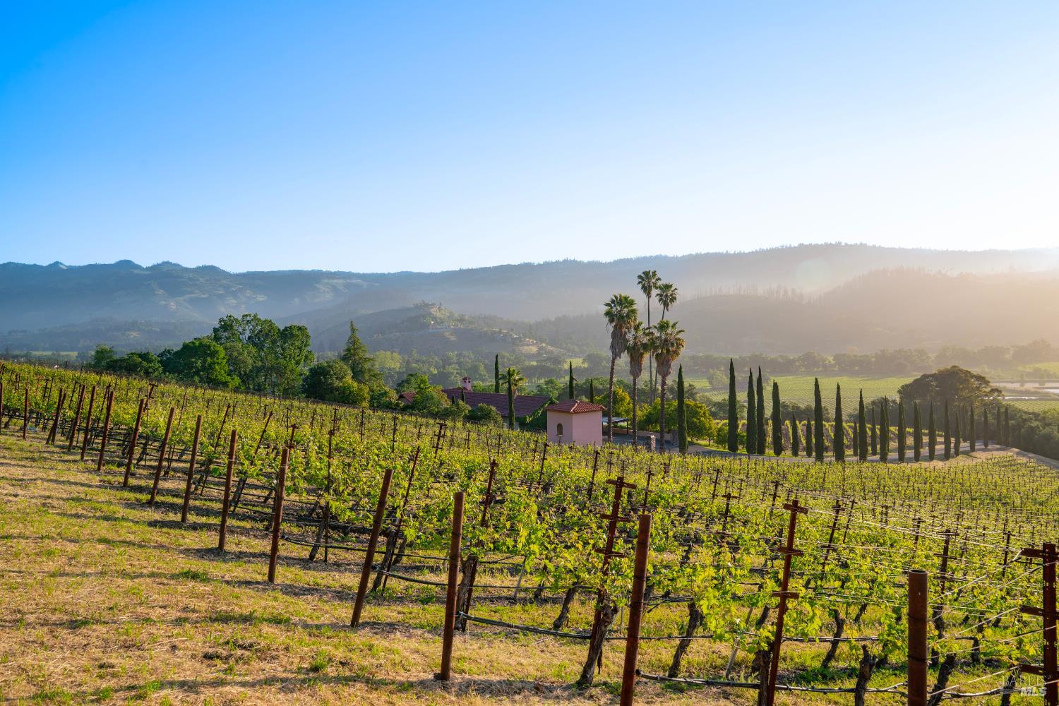 Detail Gallery Image 4 of 17 For 2893 Saint Helena Hwy, Saint Helena,  CA 94574 - 3 Beds | 2/1 Baths