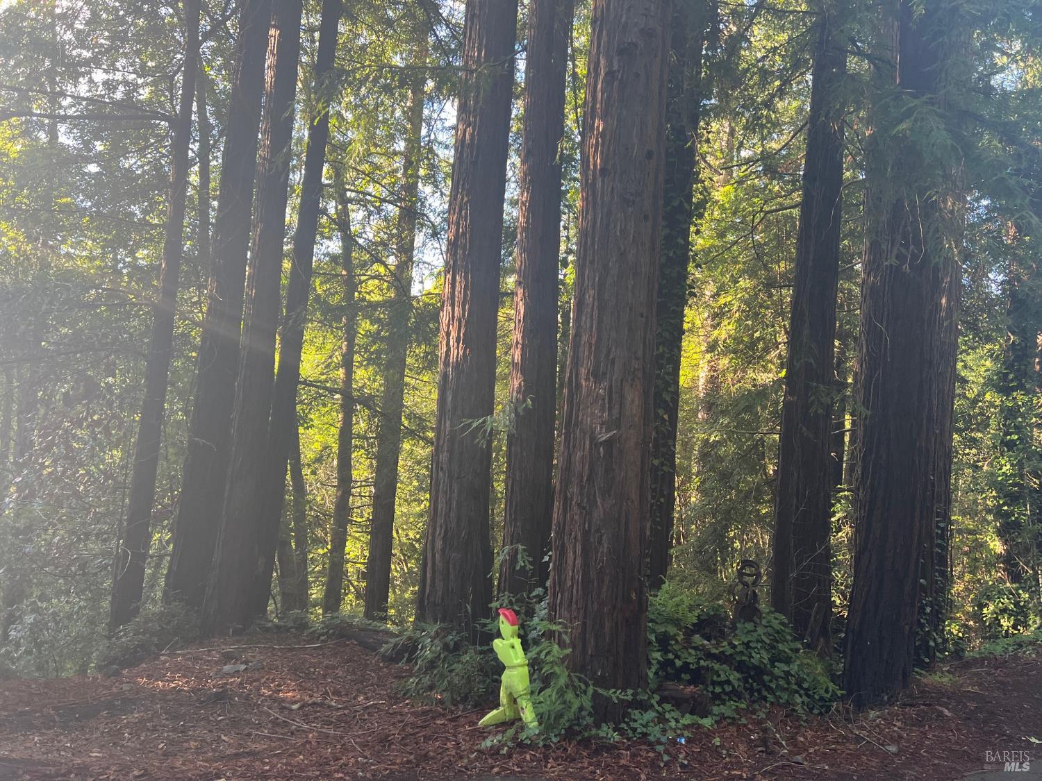 Detail Gallery Image 11 of 12 For 21866 Monte Vista Ter, Monte Rio,  CA 95462 - – Beds | – Baths