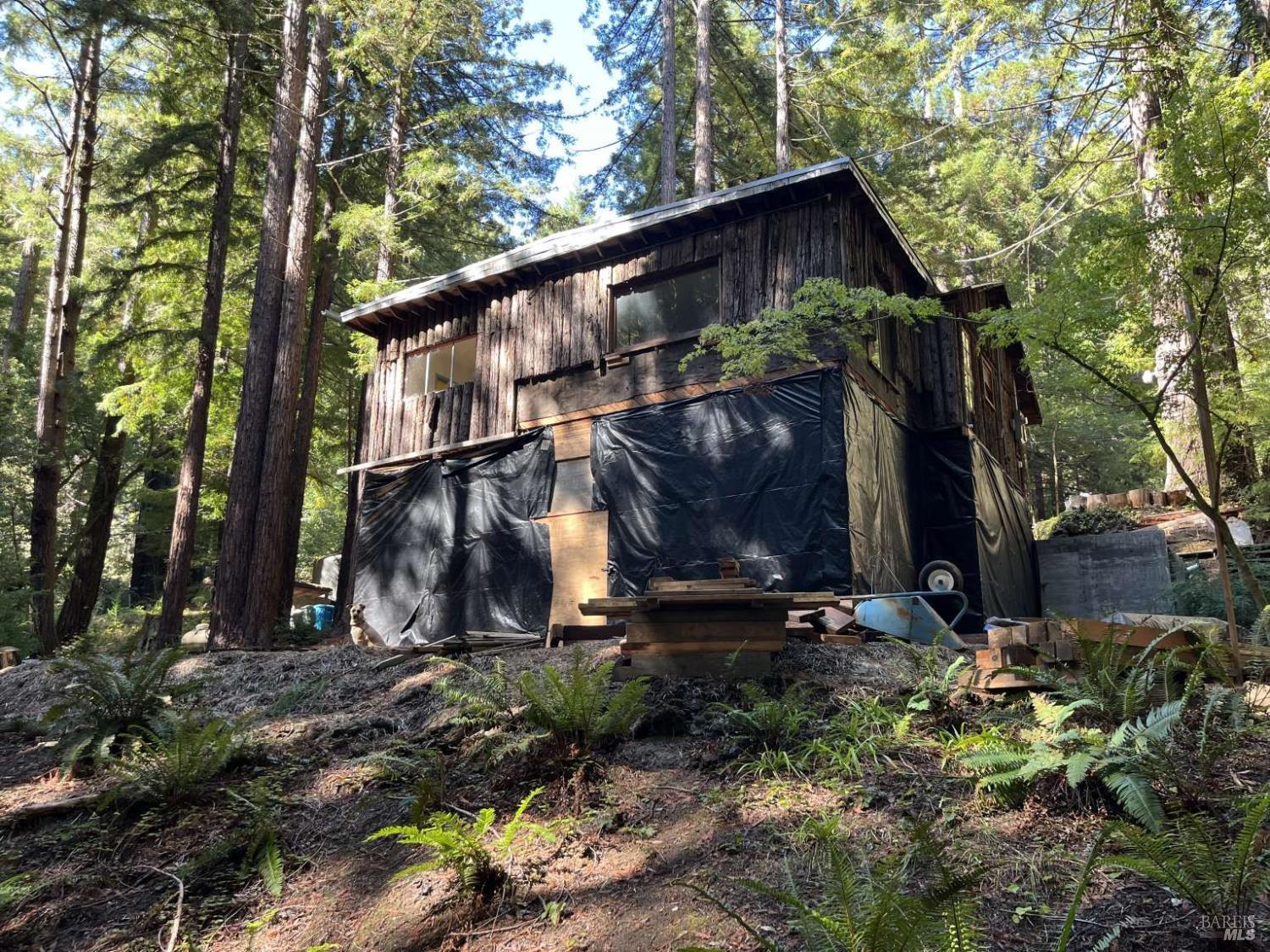 Detail Gallery Image 31 of 36 For 16125 Bittner Rd, Occidental,  CA 95465 - 4 Beds | 2 Baths