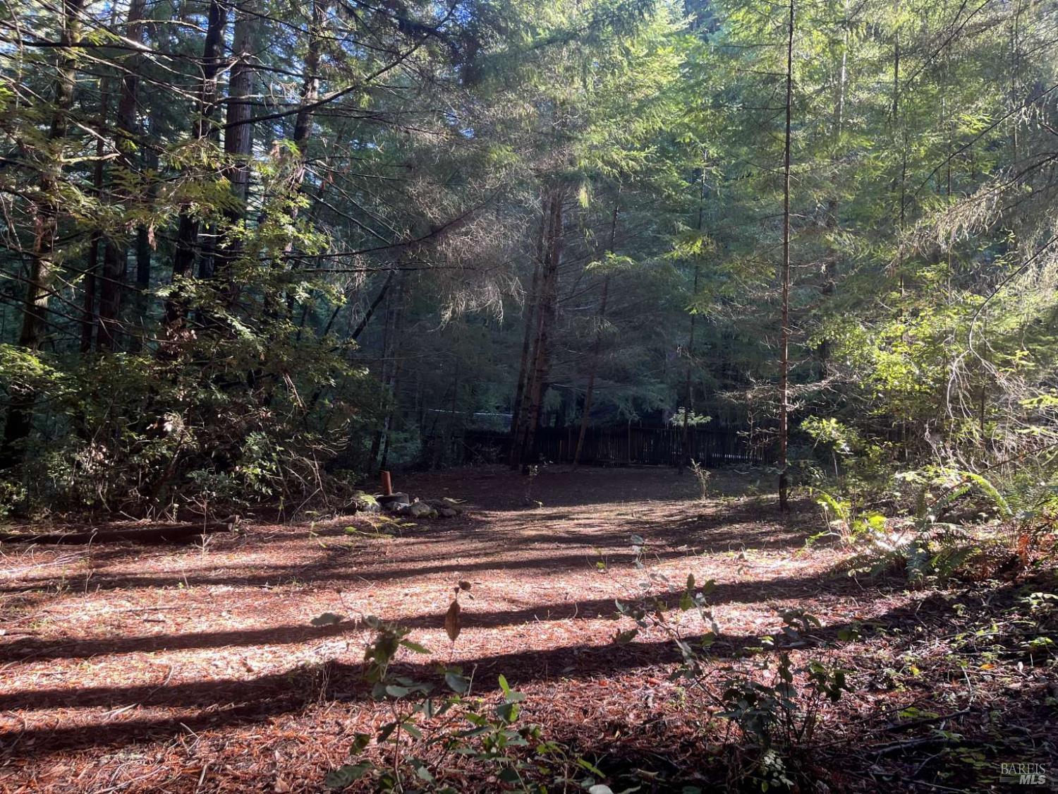 Detail Gallery Image 24 of 36 For 16125 Bittner Rd, Occidental,  CA 95465 - 4 Beds | 2 Baths