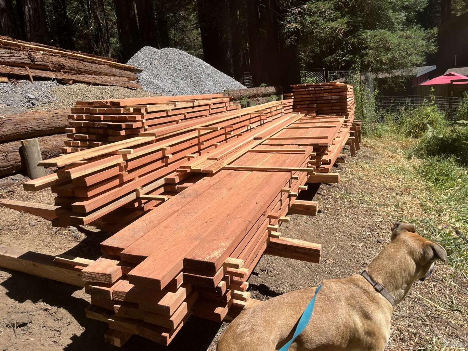 Detail Gallery Image 5 of 36 For 16125 Bittner Rd, Occidental,  CA 95465 - 4 Beds | 2 Baths