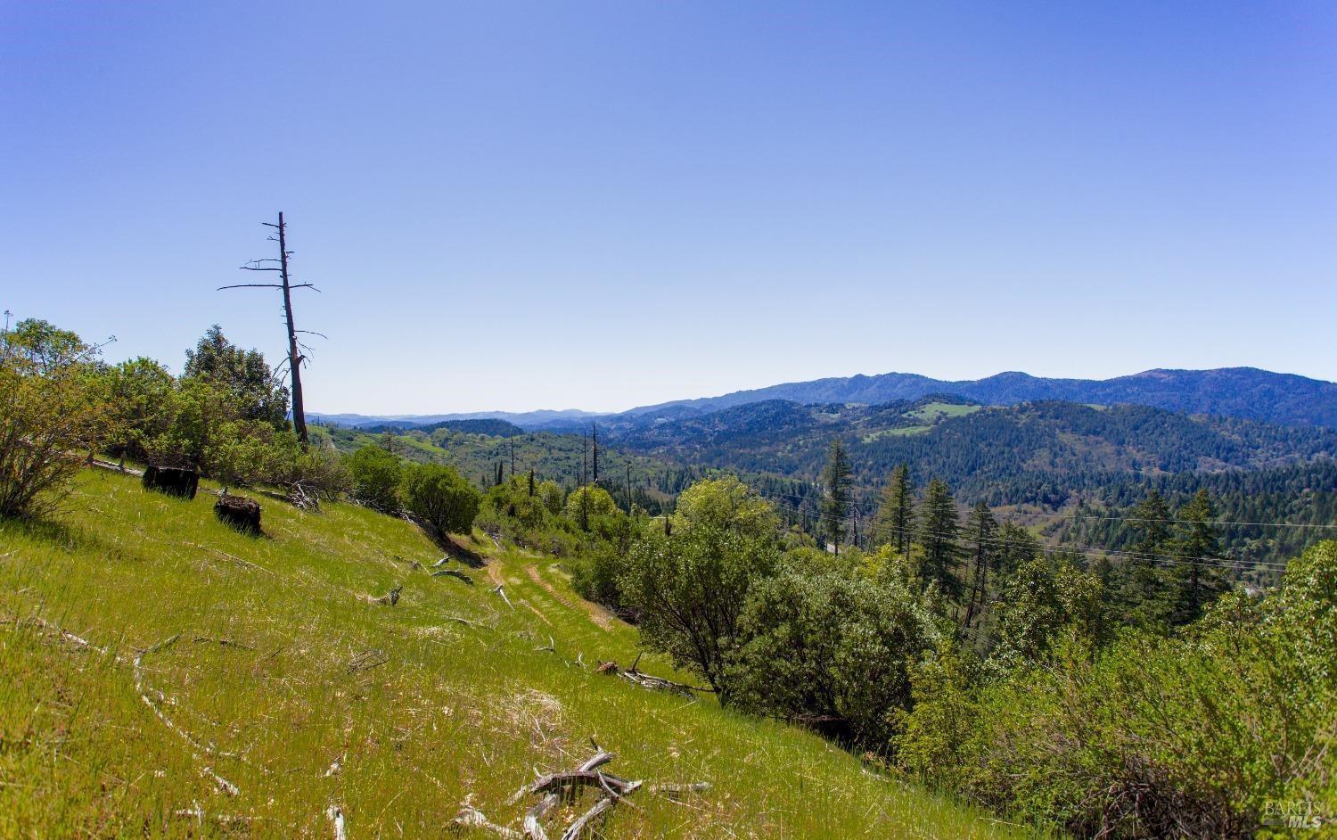 Detail Gallery Image 6 of 12 For 53310 Highway 101 Hwy, Laytonville,  CA 95454 - – Beds | – Baths