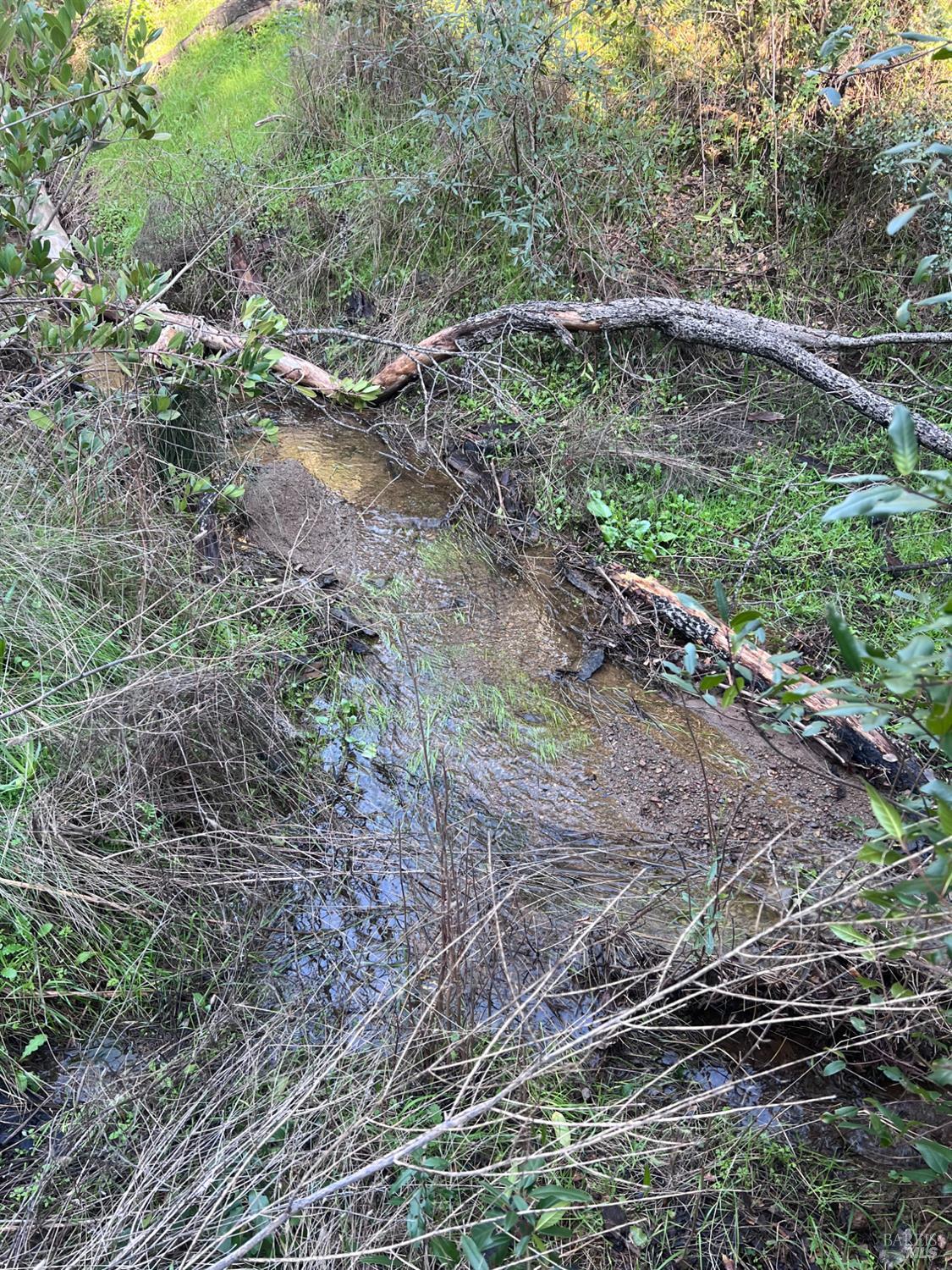 Detail Gallery Image 5 of 7 For 0 Highway 128 Hwy, Napa,  CA 94558 - – Beds | – Baths