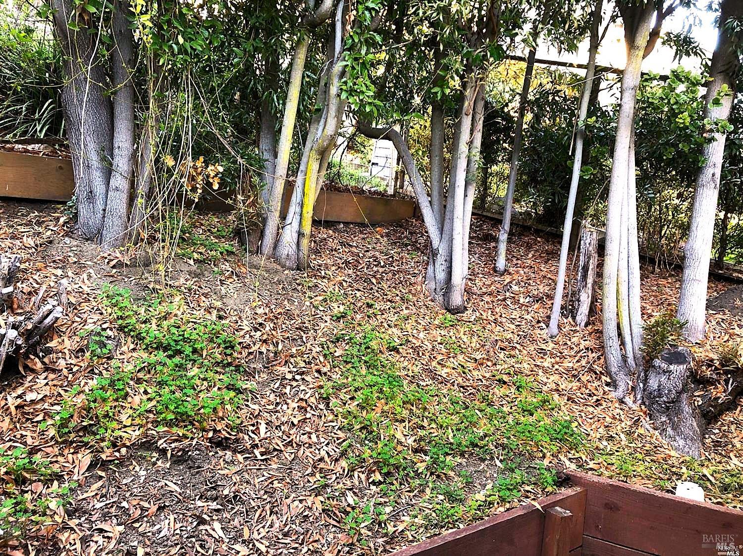 Detail Gallery Image 13 of 14 For 2371 Vista Del Mar Ln, Tiburon,  CA 94920 - 1 Beds | 1 Baths