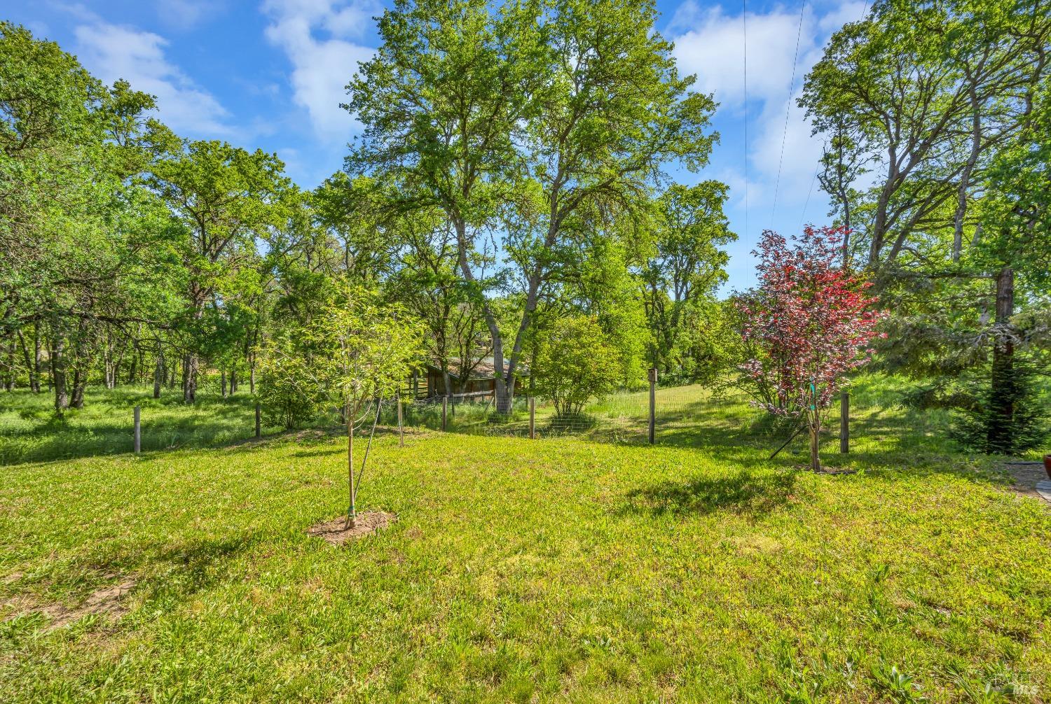 Detail Gallery Image 28 of 51 For 2720 Hartley St, Lakeport,  CA 95453 - 4 Beds | 3/1 Baths