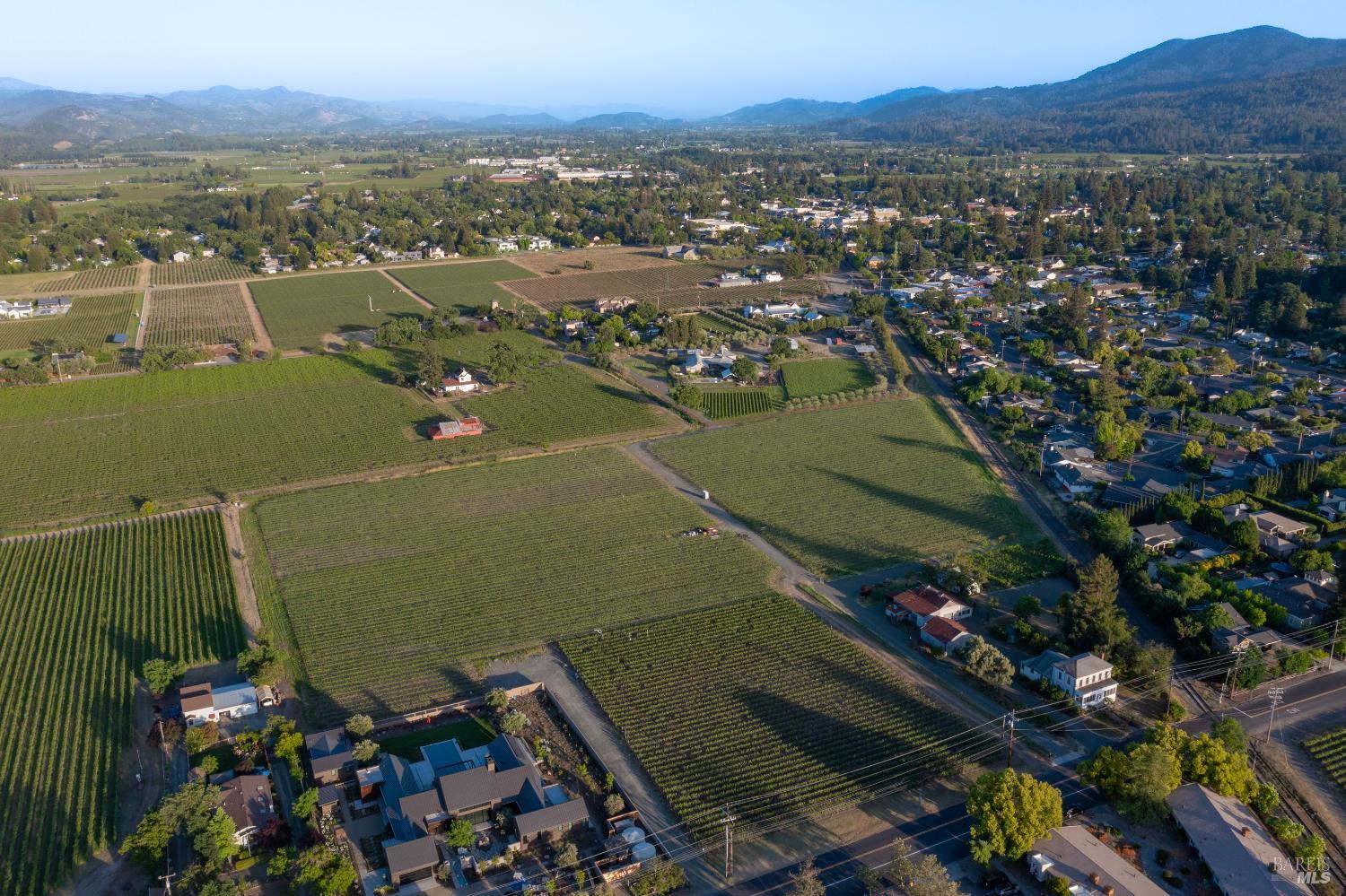 Detail Gallery Image 12 of 12 For 0 Pratt Ave, Saint Helena,  CA 94574 - – Beds | – Baths