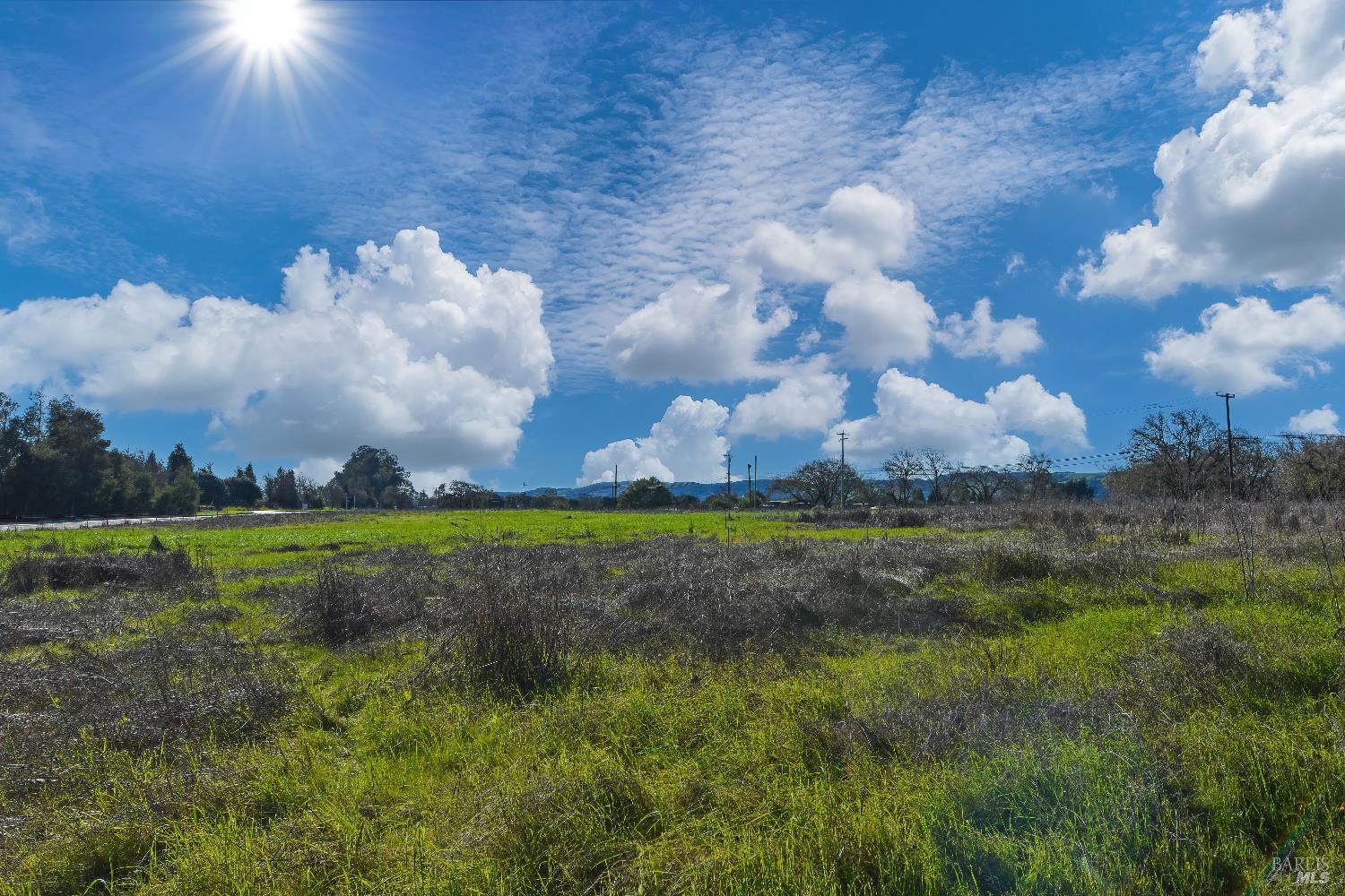 Detail Gallery Image 10 of 10 For 8 8th St, Sonoma,  CA 95476 - – Beds | – Baths