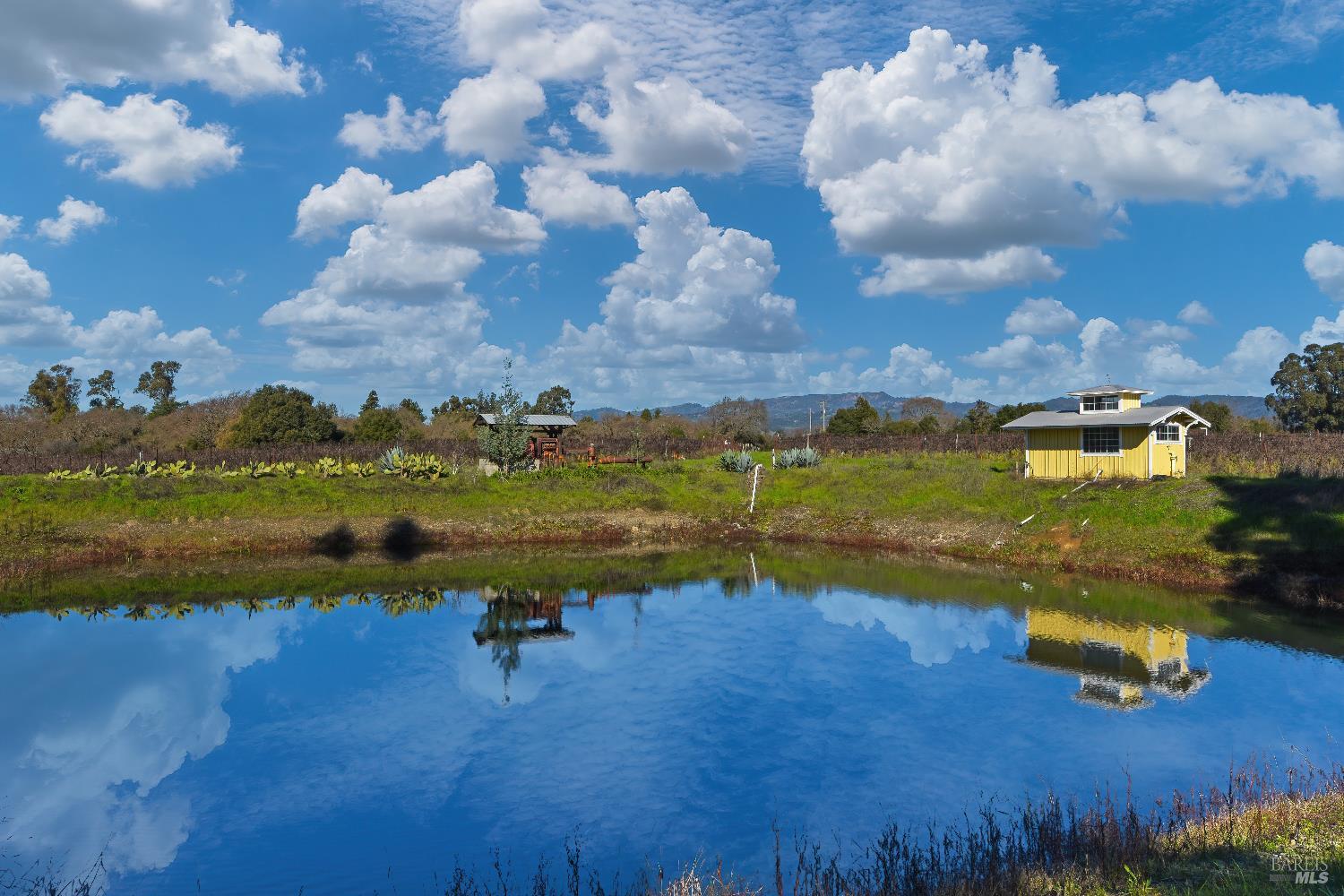 Detail Gallery Image 10 of 14 For 0 8th St, Sonoma,  CA 95476 - – Beds | – Baths