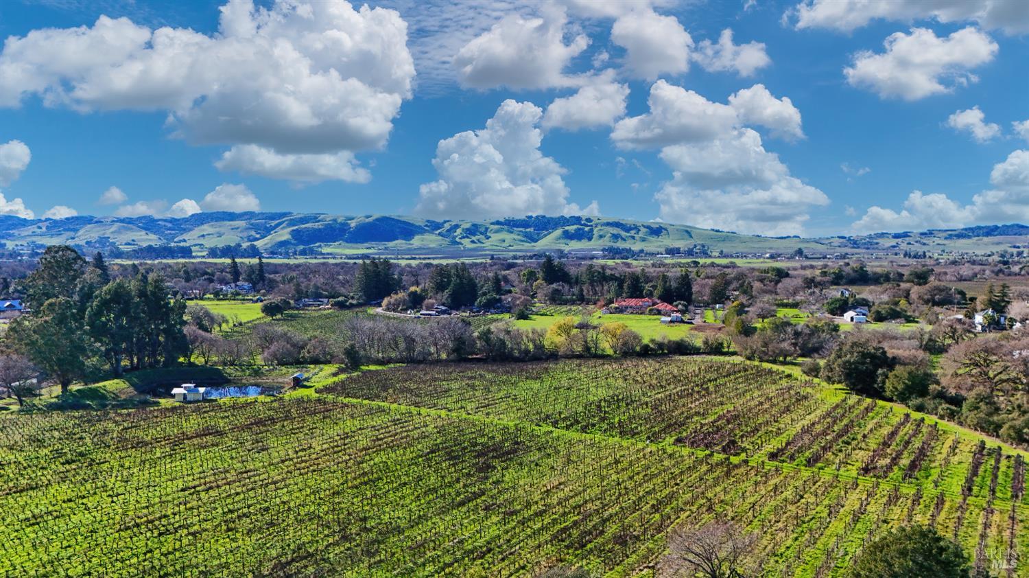 Detail Gallery Image 12 of 14 For 0 8th St, Sonoma,  CA 95476 - – Beds | – Baths