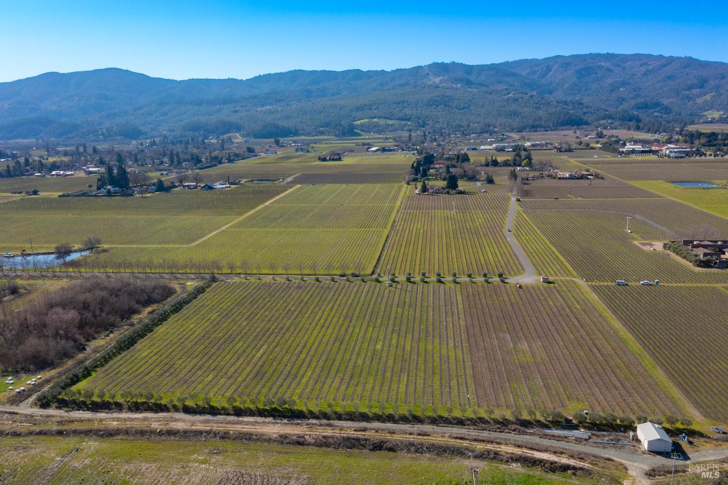 Detail Gallery Image 9 of 13 For 218 Zinfandel Ln, Saint Helena,  CA 94574 - – Beds | – Baths