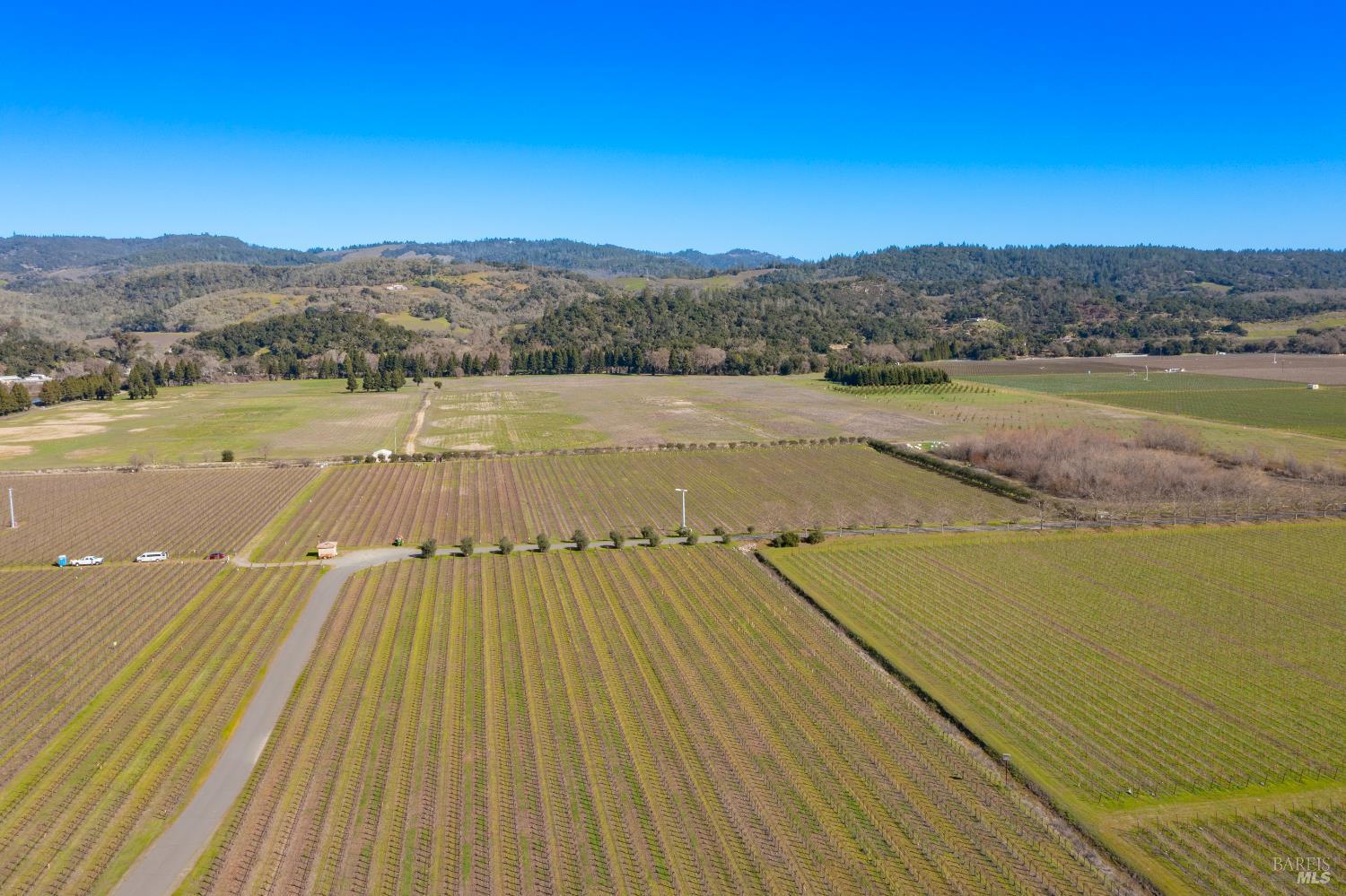 Detail Gallery Image 8 of 13 For 218 Zinfandel Ln, Saint Helena,  CA 94574 - – Beds | – Baths