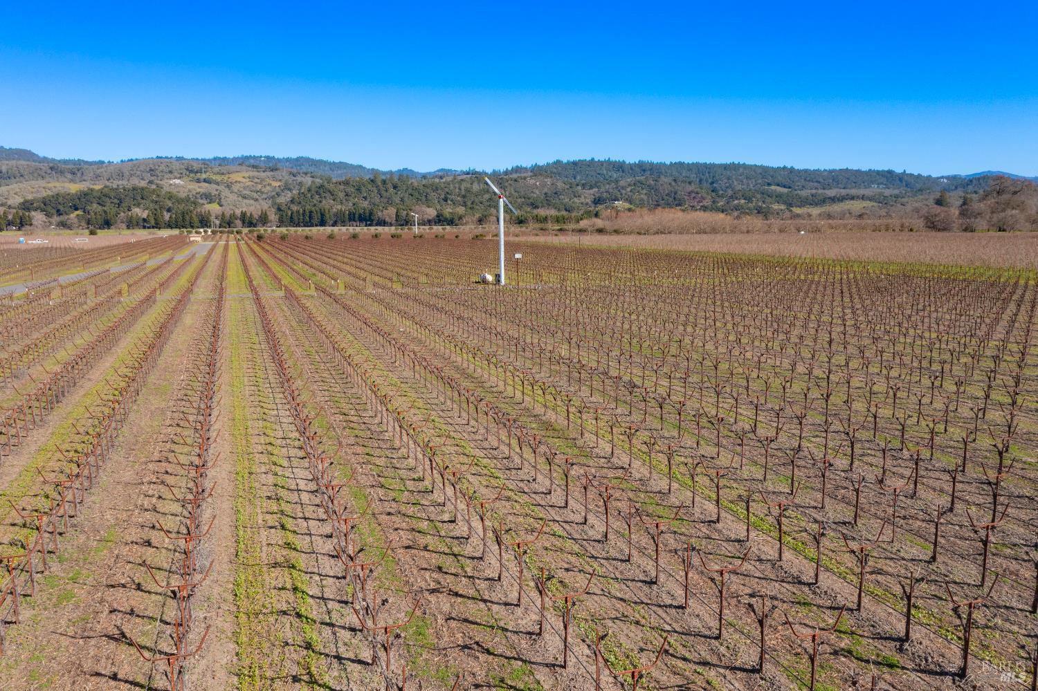 Detail Gallery Image 6 of 13 For 218 Zinfandel Ln, Saint Helena,  CA 94574 - – Beds | – Baths