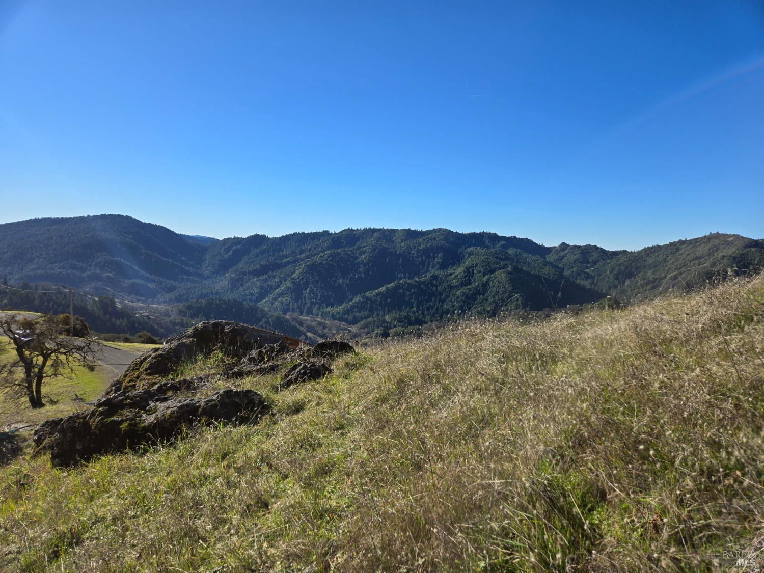 Detail Gallery Image 17 of 25 For 16191 Ridgeview Rd, Willits,  CA 95490 - – Beds | – Baths