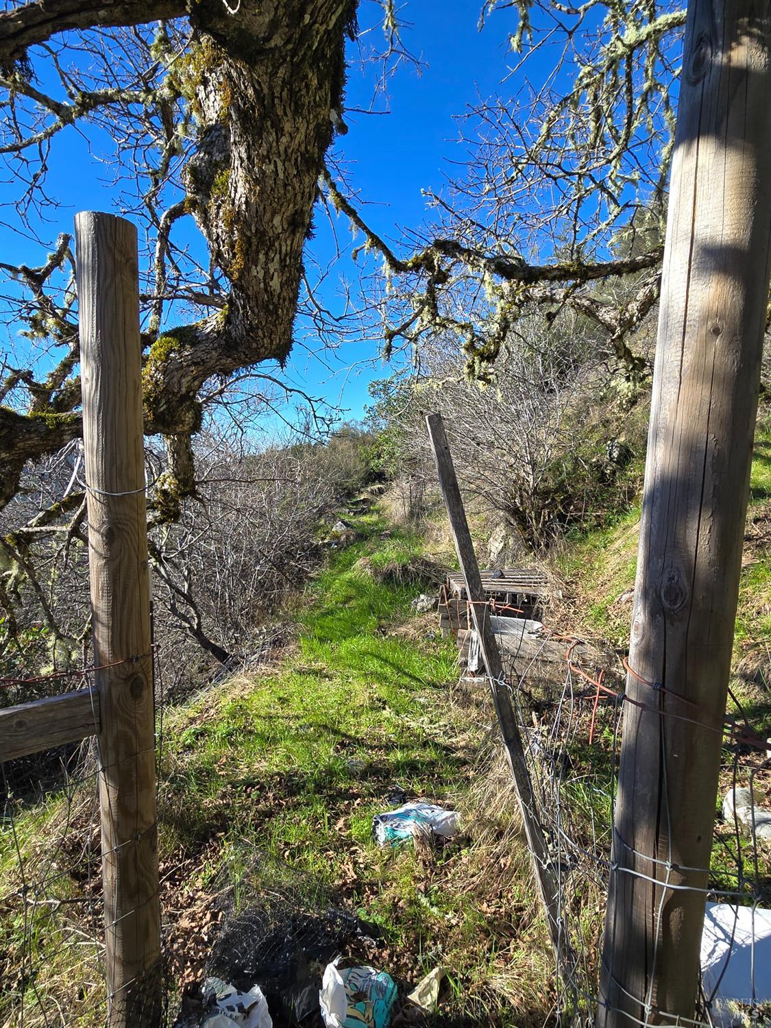 Detail Gallery Image 10 of 25 For 16191 Ridgeview Rd, Willits,  CA 95490 - – Beds | – Baths