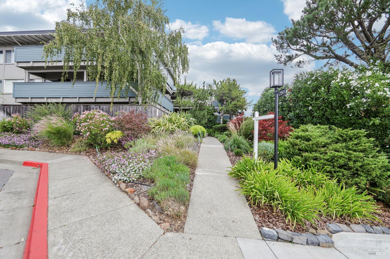 Detail Gallery Image 57 of 64 For 290 via Casitas Unkn #206,  Greenbrae,  CA 94904 - 3 Beds | 2 Baths