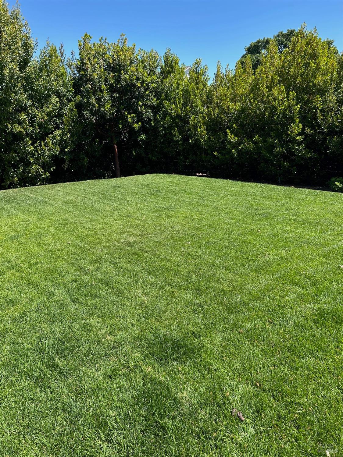 Detail Gallery Image 4 of 41 For 230 Newcomb St, Sonoma,  CA 95476 - 3 Beds | 3 Baths