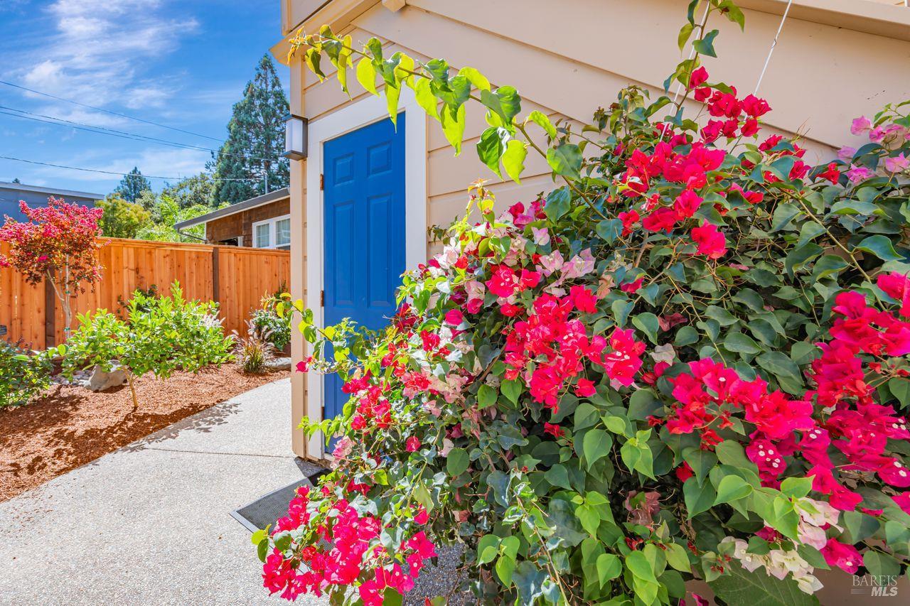 Detail Gallery Image 27 of 27 For 105 Bayview St, San Rafael,  CA 94901 - 3 Beds | 2 Baths