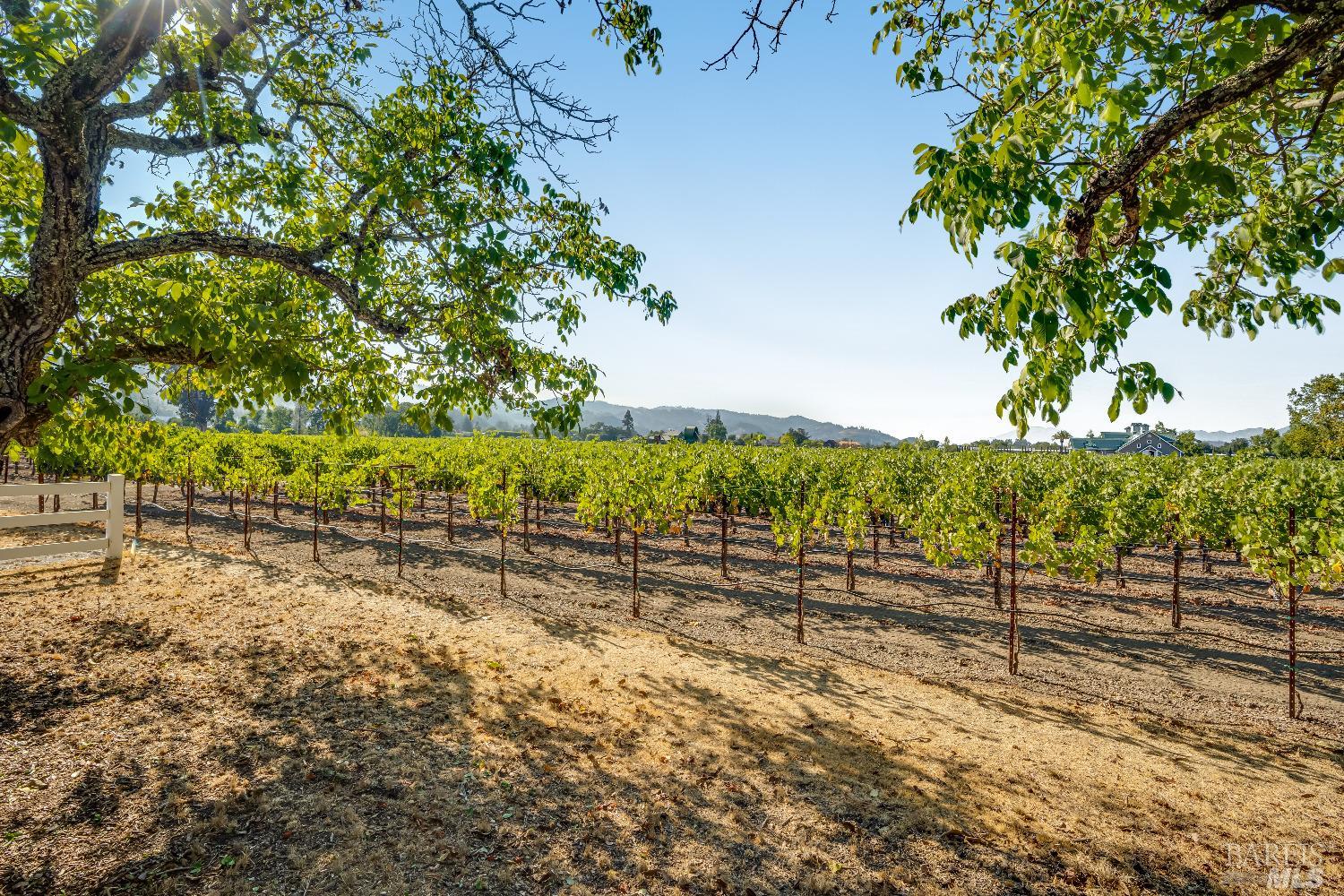 Detail Gallery Image 21 of 34 For 1234 Davis Ln, Saint Helena,  CA 94574 - 2 Beds | 1/1 Baths