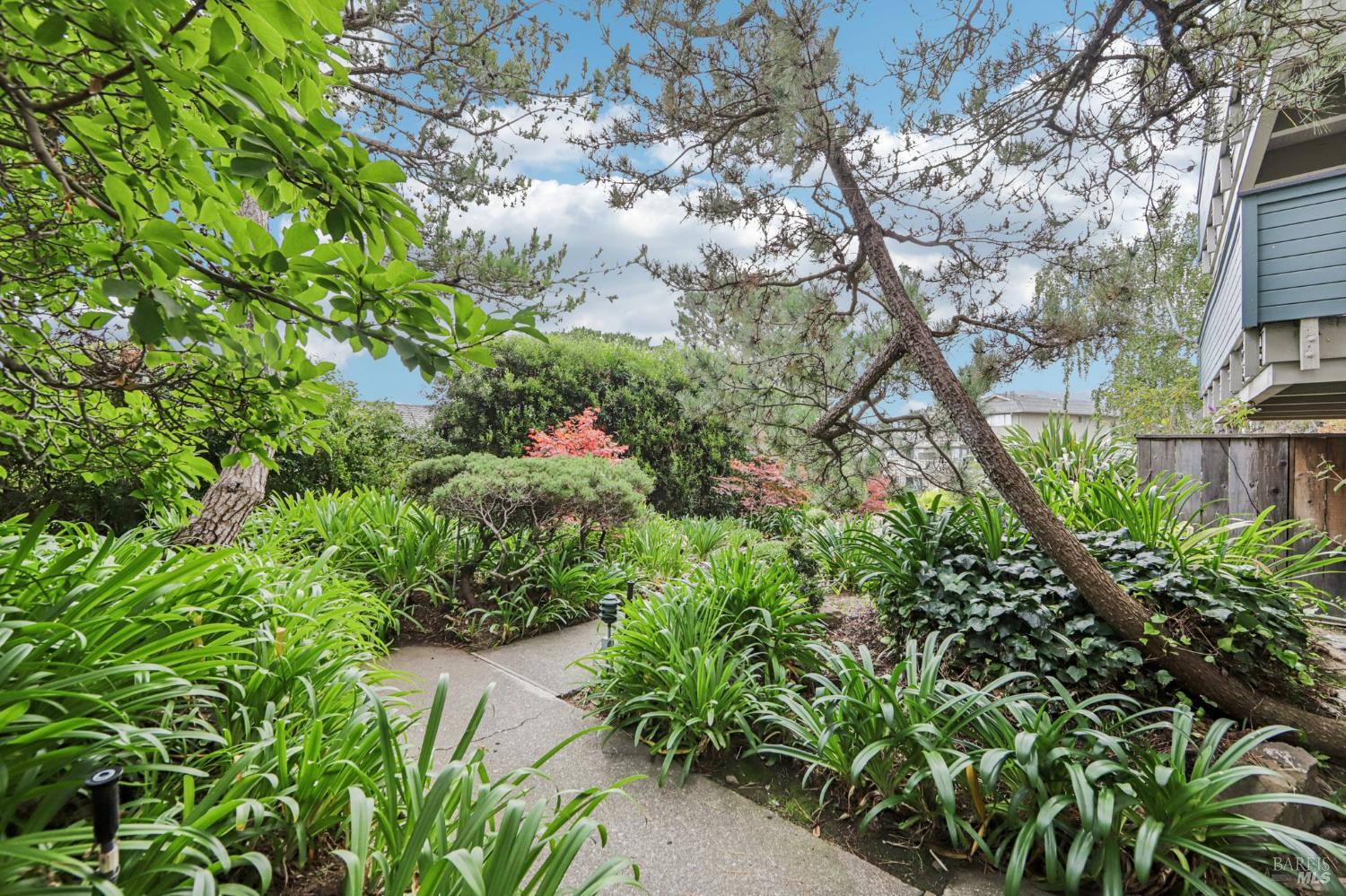 Detail Gallery Image 4 of 64 For 290 via Casitas Unkn #206,  Greenbrae,  CA 94904 - 3 Beds | 2 Baths