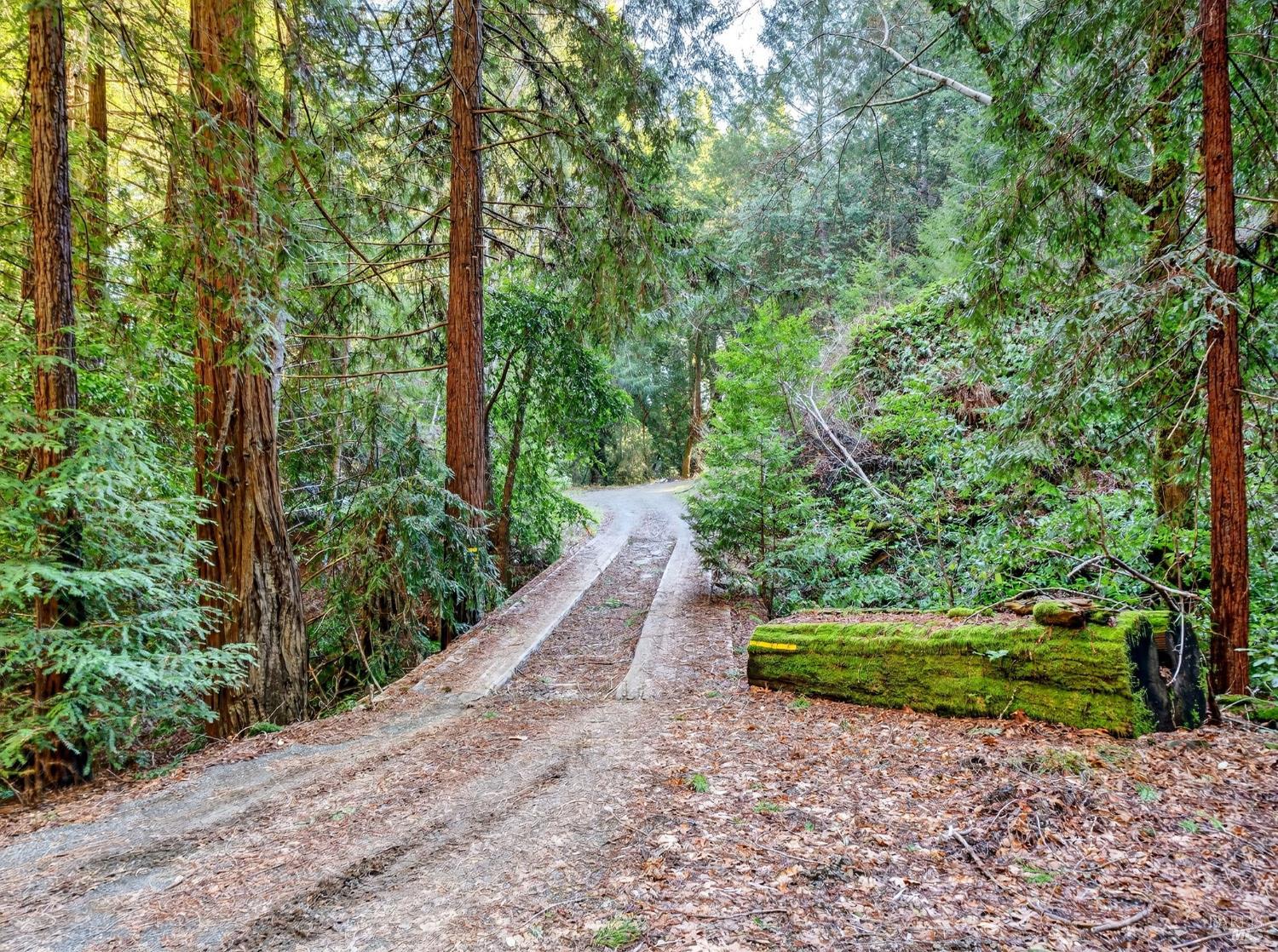 Detail Gallery Image 14 of 45 For 15785 Pole Mountain Rd, Cazadero,  CA 95421 - – Beds | – Baths