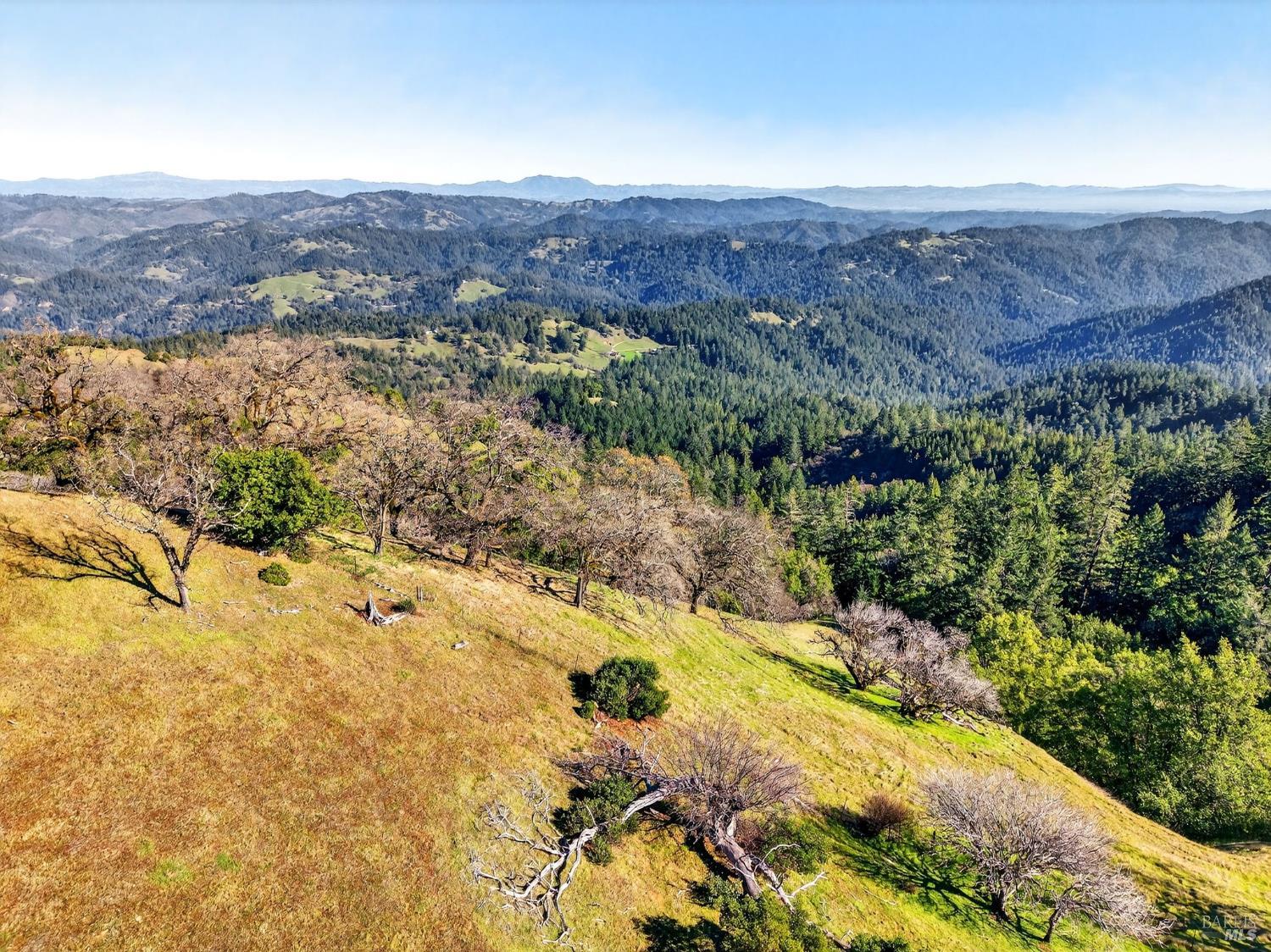 Detail Gallery Image 35 of 45 For 15785 Pole Mountain Rd, Cazadero,  CA 95421 - – Beds | – Baths