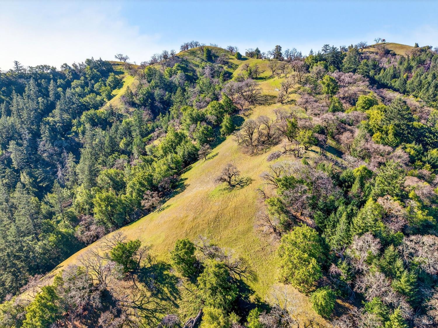 Detail Gallery Image 31 of 45 For 15785 Pole Mountain Rd, Cazadero,  CA 95421 - – Beds | – Baths