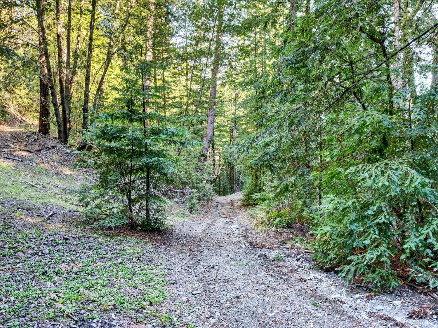 Detail Gallery Image 15 of 45 For 15785 Pole Mountain Rd, Cazadero,  CA 95421 - – Beds | – Baths