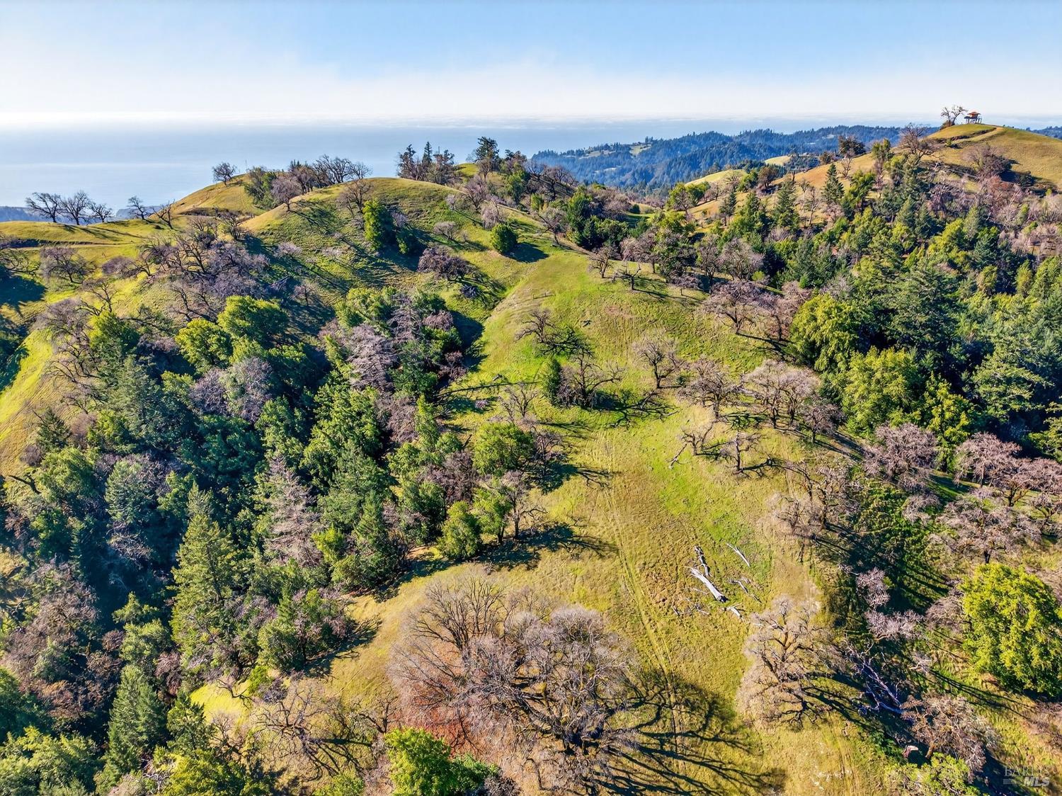 Detail Gallery Image 32 of 45 For 15785 Pole Mountain Rd, Cazadero,  CA 95421 - – Beds | – Baths