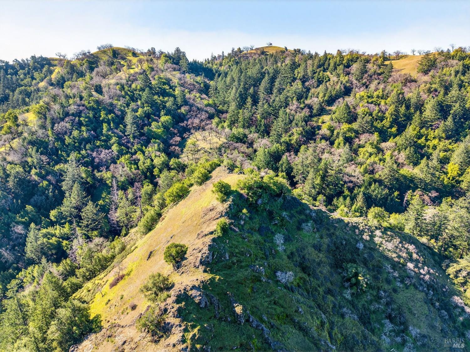 Detail Gallery Image 27 of 45 For 15785 Pole Mountain Rd, Cazadero,  CA 95421 - – Beds | – Baths