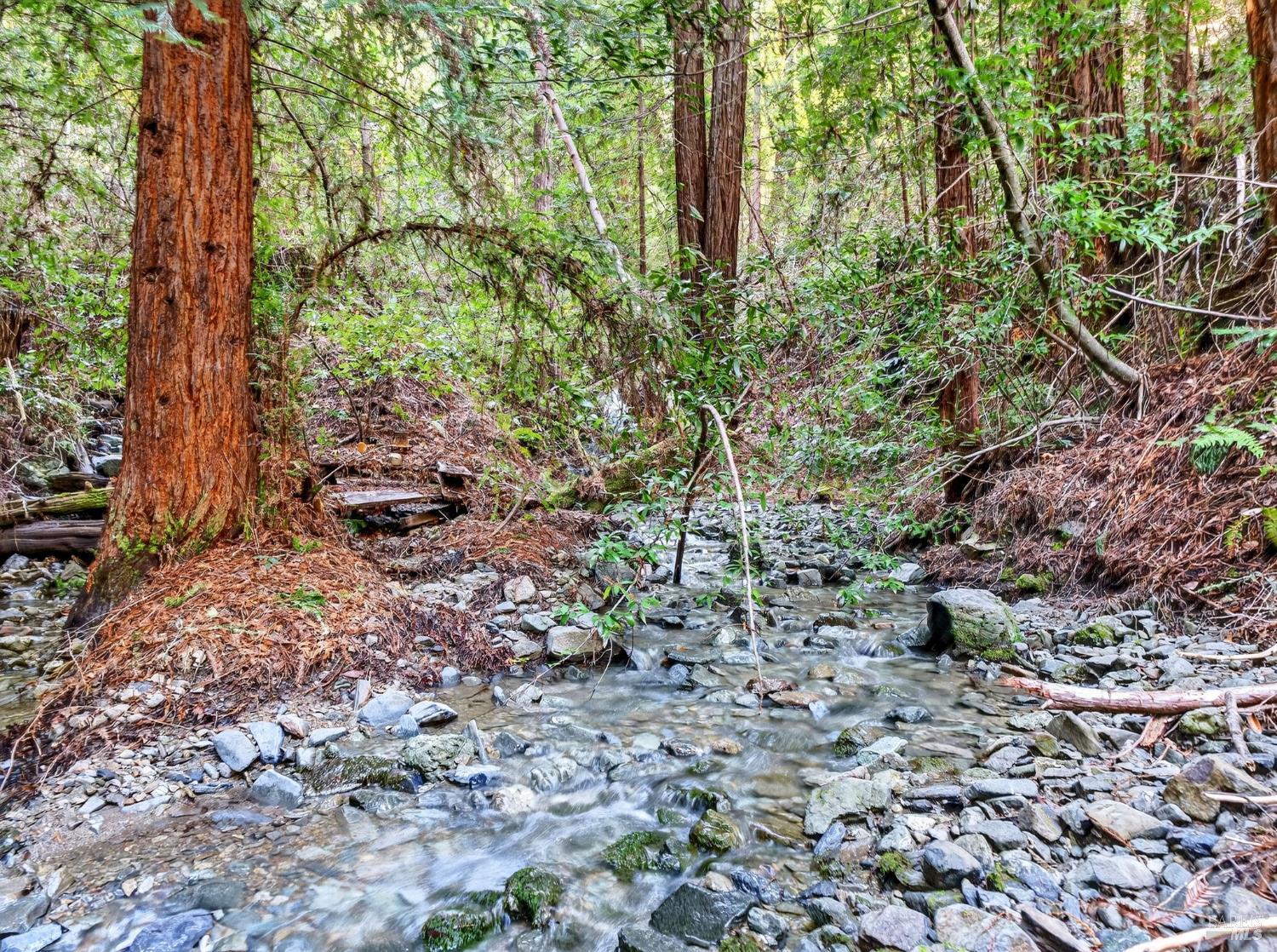 Detail Gallery Image 20 of 45 For 15785 Pole Mountain Rd, Cazadero,  CA 95421 - – Beds | – Baths