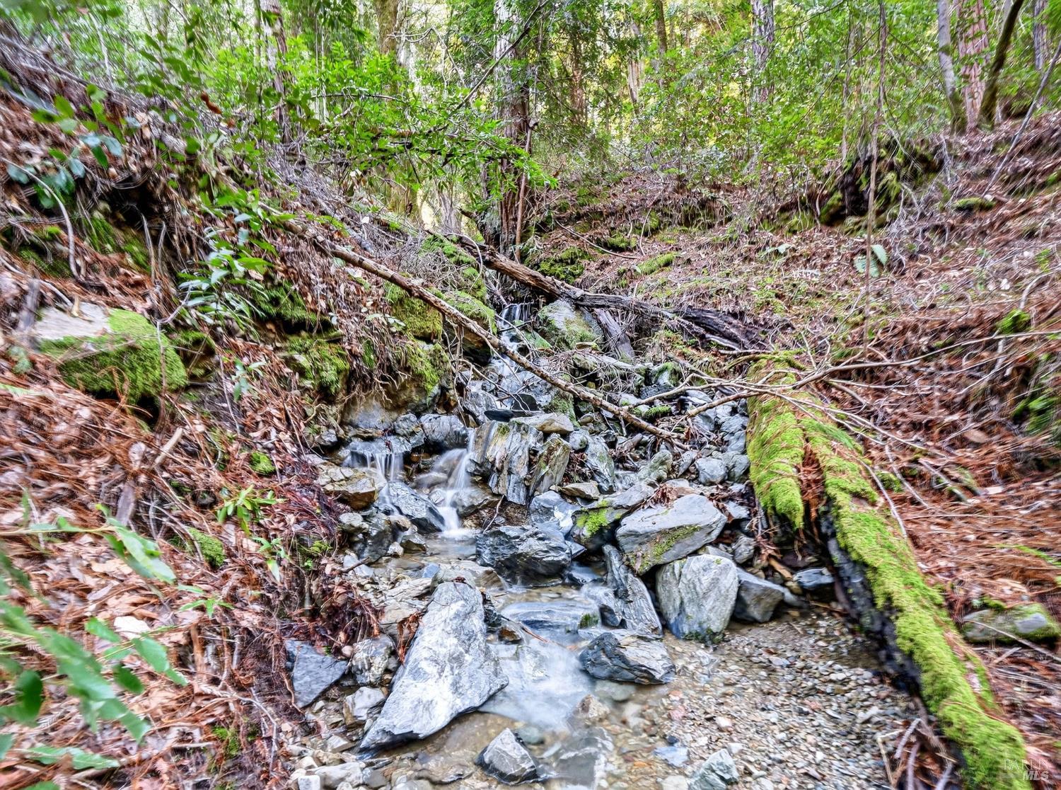 Detail Gallery Image 22 of 45 For 15785 Pole Mountain Rd, Cazadero,  CA 95421 - – Beds | – Baths