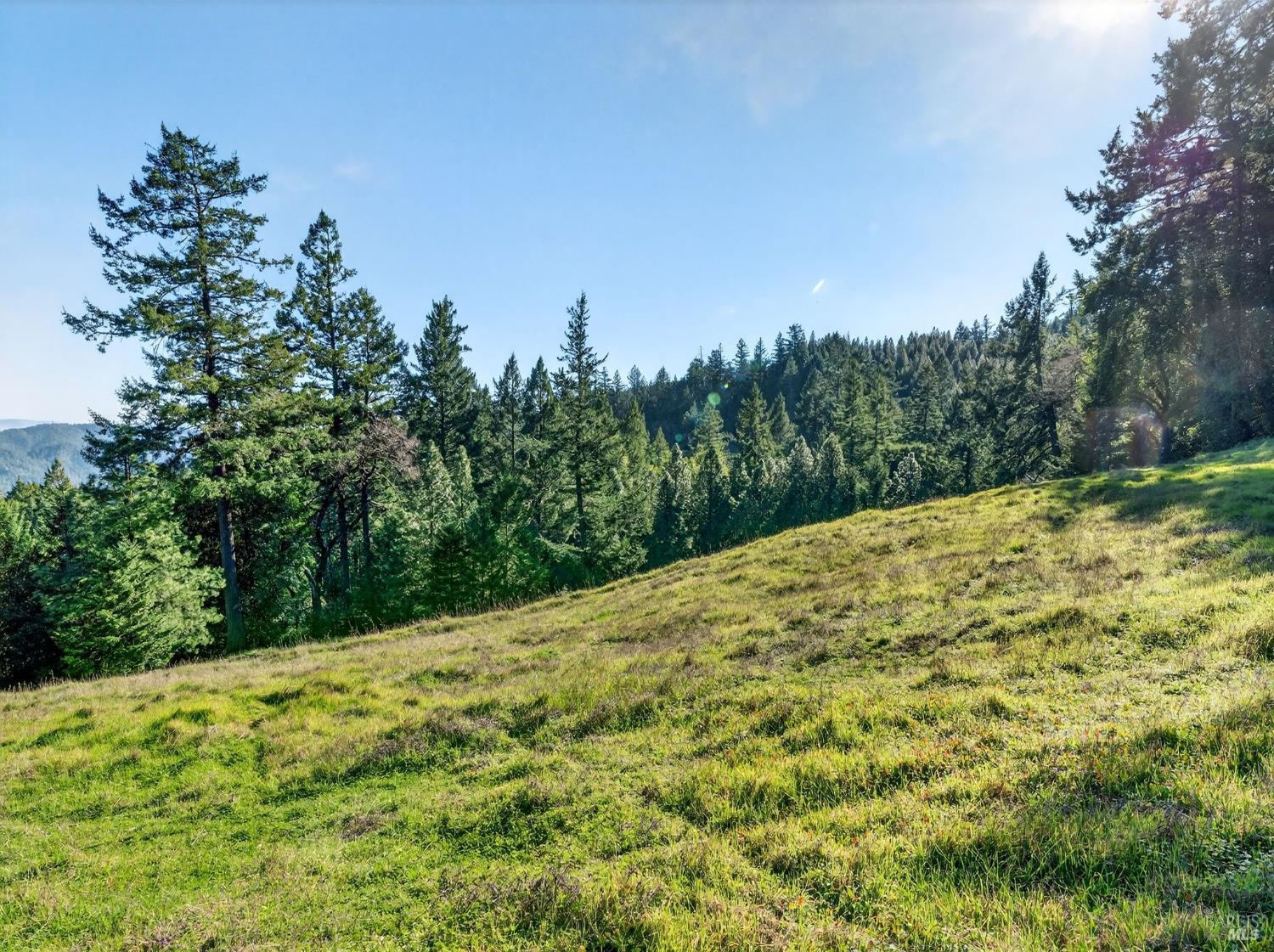 Detail Gallery Image 23 of 45 For 15785 Pole Mountain Rd, Cazadero,  CA 95421 - – Beds | – Baths