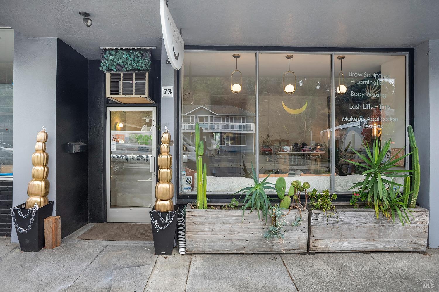 Detail Gallery Image 5 of 34 For 65 Red Hill Ave, San Anselmo,  CA 94960 - – Beds | – Baths