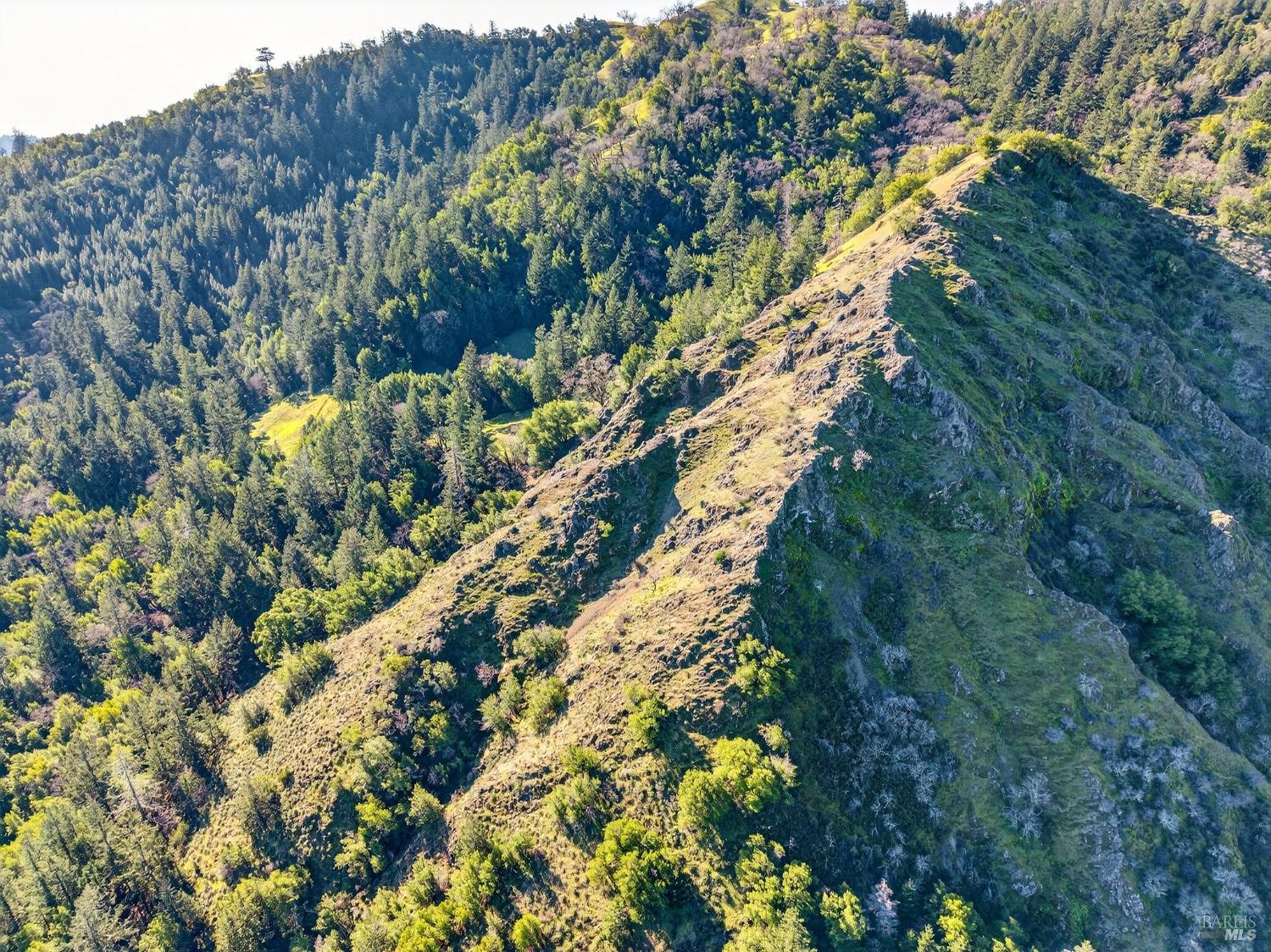 Detail Gallery Image 40 of 45 For 15785 Pole Mountain Rd, Cazadero,  CA 95421 - – Beds | – Baths