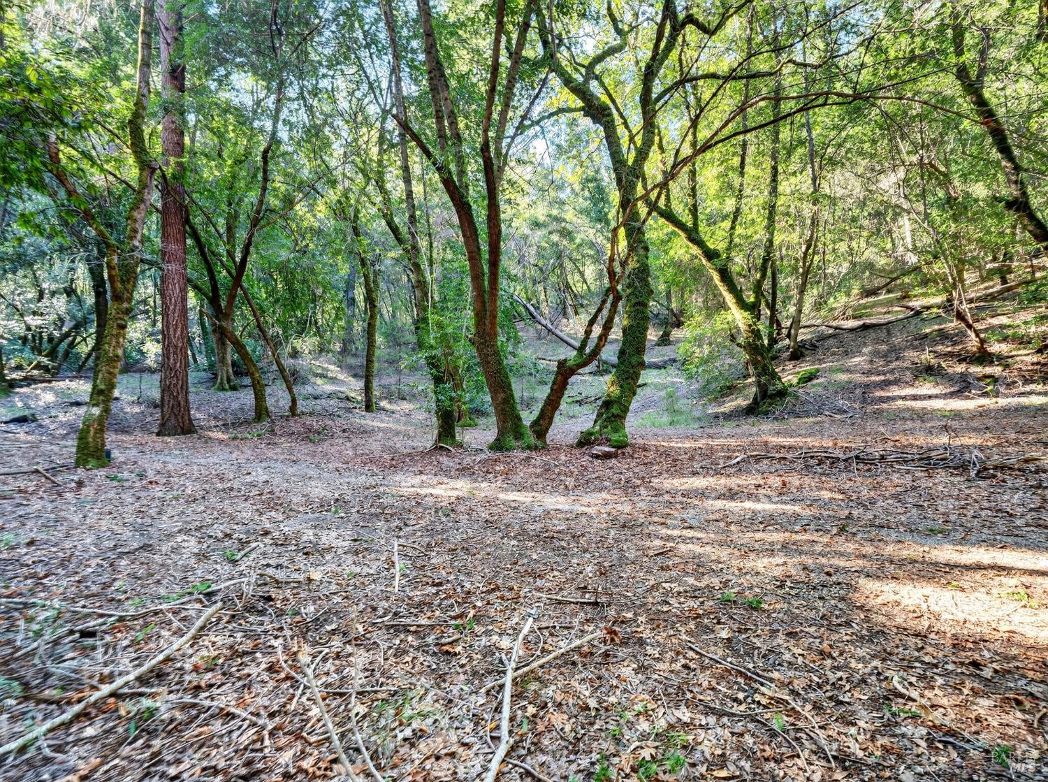 Detail Gallery Image 18 of 45 For 15785 Pole Mountain Rd, Cazadero,  CA 95421 - – Beds | – Baths