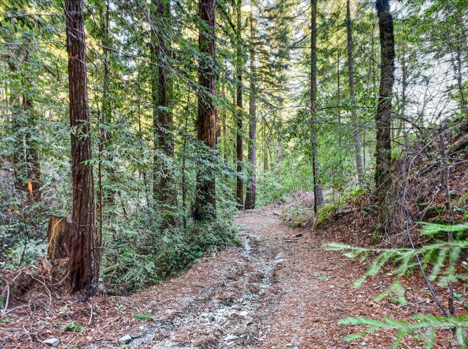 Detail Gallery Image 16 of 45 For 15785 Pole Mountain Rd, Cazadero,  CA 95421 - – Beds | – Baths