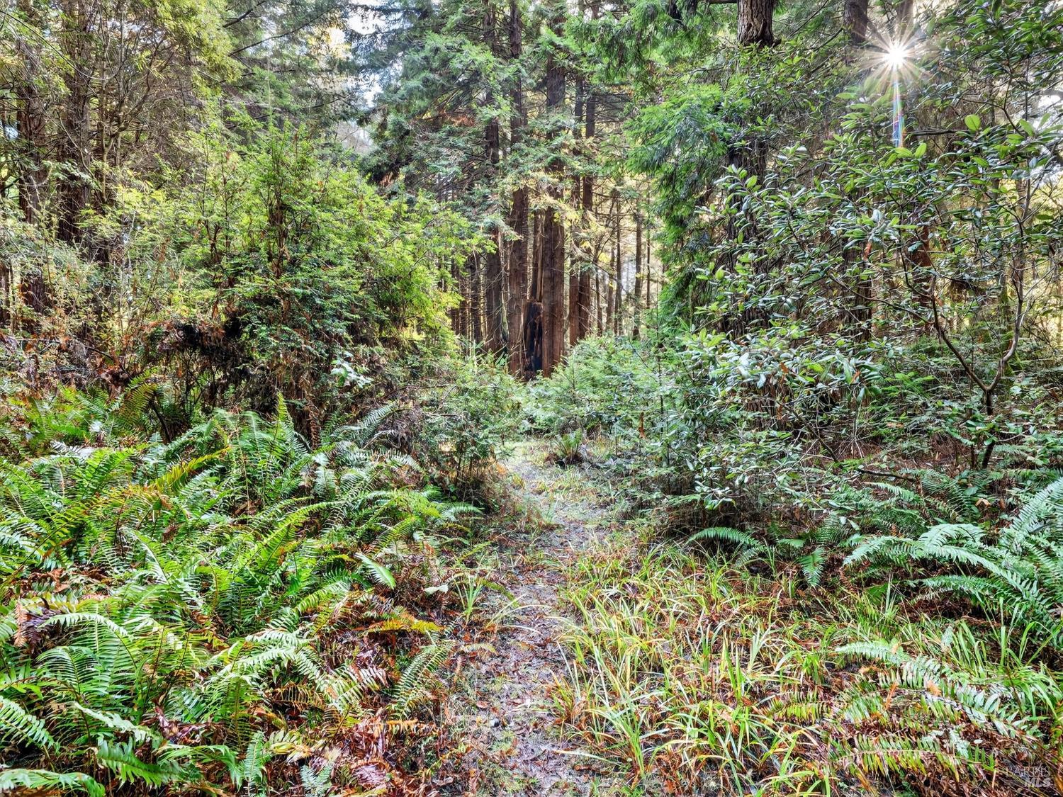 Detail Gallery Image 19 of 26 For 19400 Dorffi Rd, Fort Bragg,  CA 95437 - 3 Beds | 2/1 Baths