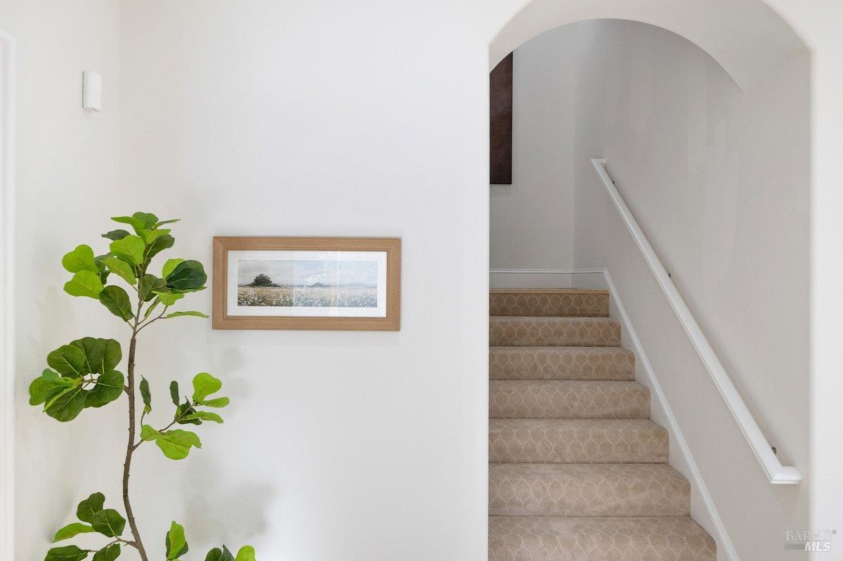 Detail Gallery Image 27 of 32 For 11 Loch Haven Ct, San Rafael,  CA 94901 - 5 Beds | 4/1 Baths