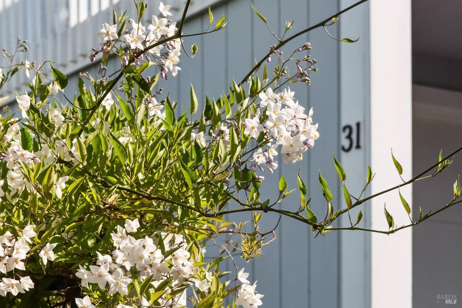 Detail Gallery Image 4 of 57 For 31 Antilles Way, Tiburon,  CA 94920 - 3 Beds | 2/1 Baths