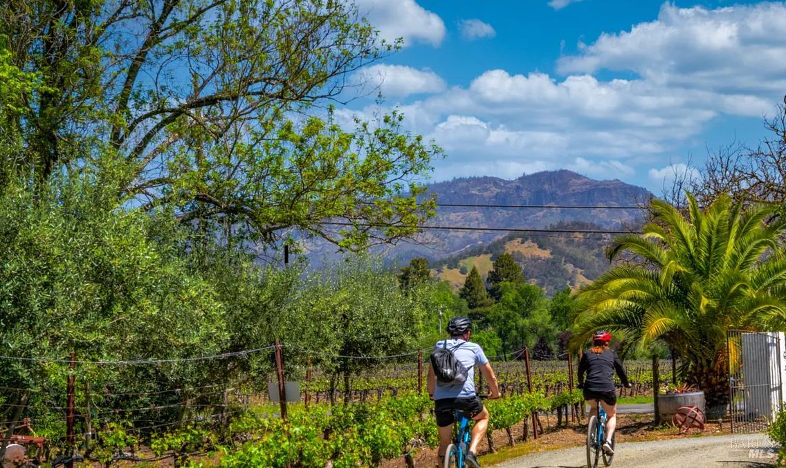 Detail Gallery Image 3 of 7 For 1231 Stevenson St, Calistoga,  CA 94515 - 3 Beds | 1/1 Baths