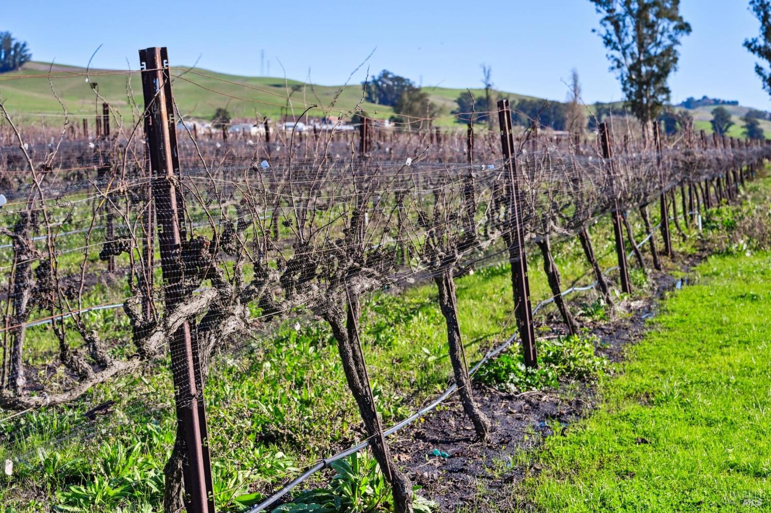 Detail Gallery Image 37 of 89 For 3957 Lakeville Hwy, Petaluma,  CA 94954 - 5 Beds | 2 Baths